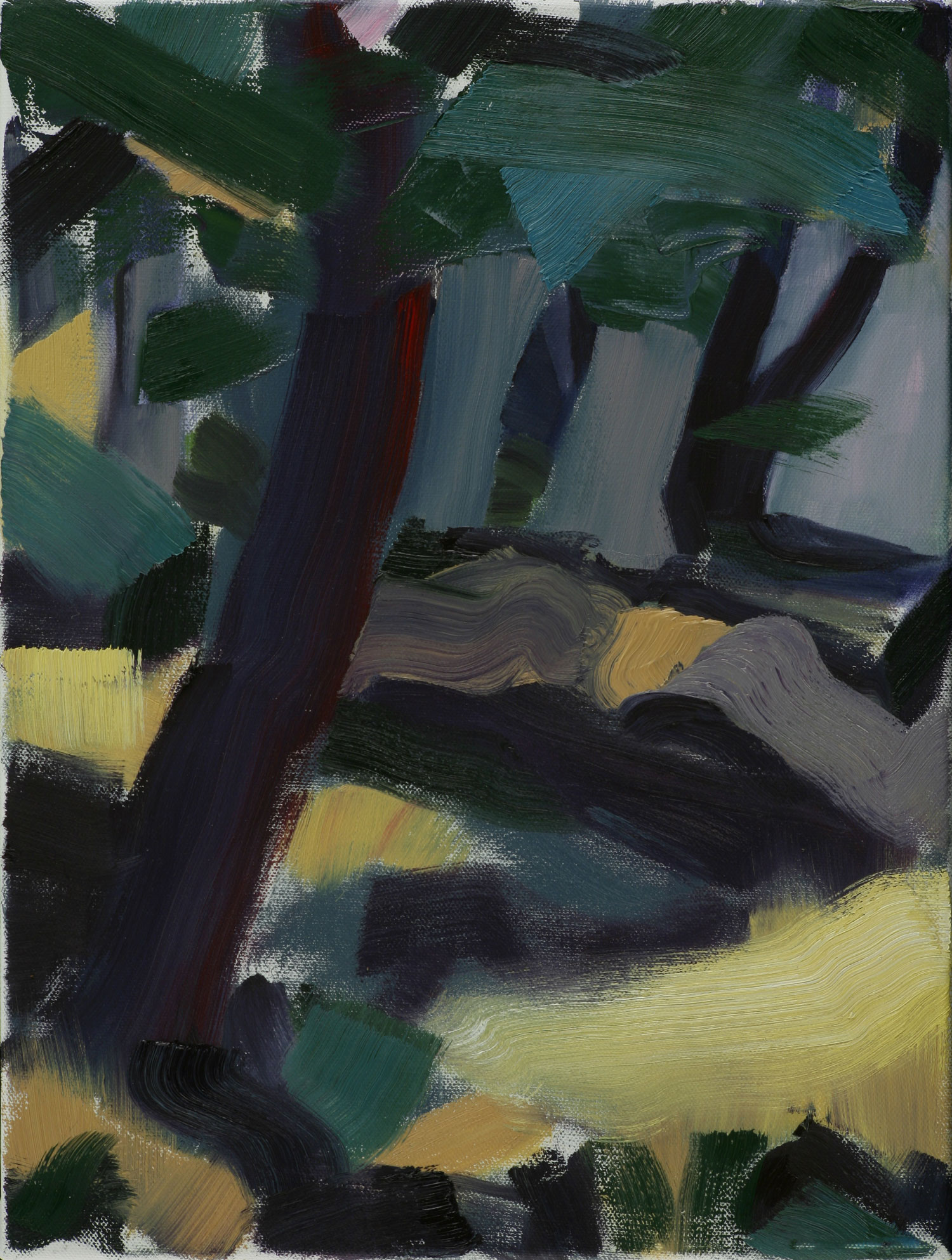   Dark Woods , 2009, oil on canvas, 12 x 16 