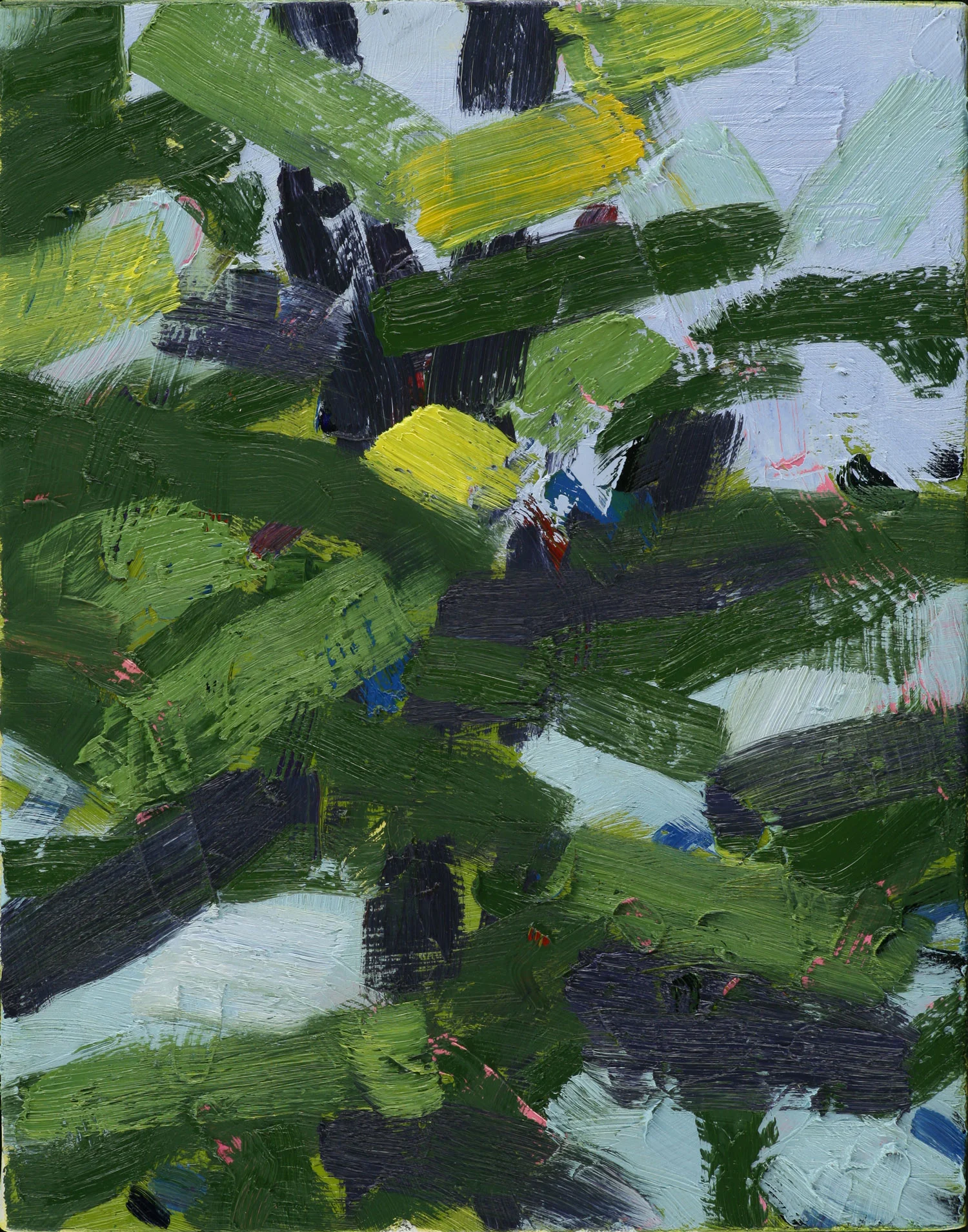 Spruce , 2009, oil on canvas, 11 x 14"