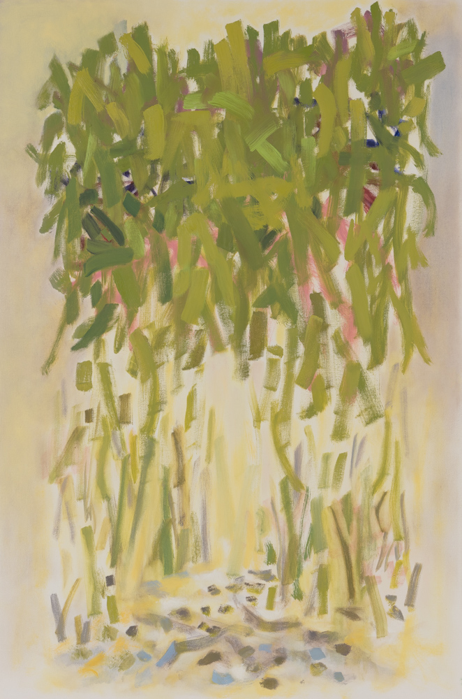   Bamboo , 2017, oil on canvas, 24 x 36" 