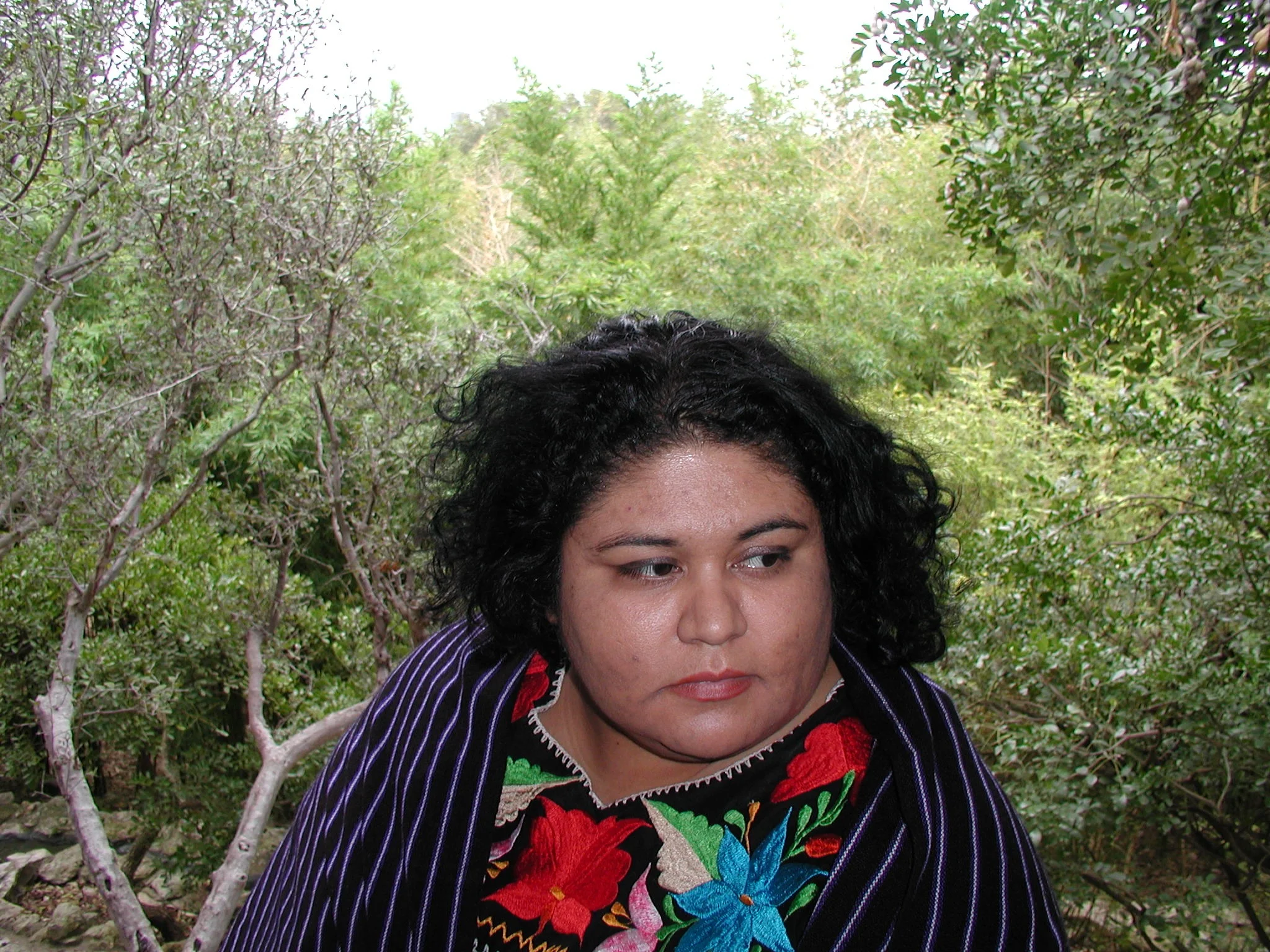 i come from women illiterate and rough-skinned by Irene Lara Silva