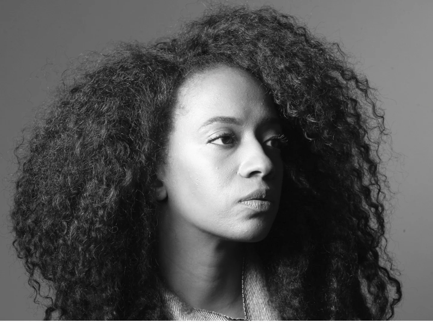 Notes for Illustrating Silence: A Dream by Rachel Eliza Griffiths