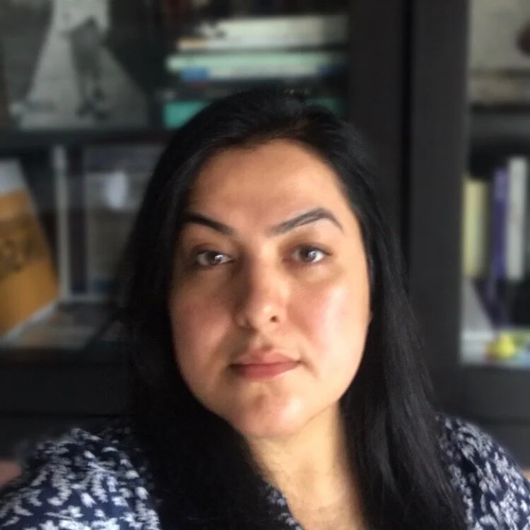 Lessons Ghazal by Preeti Parikh