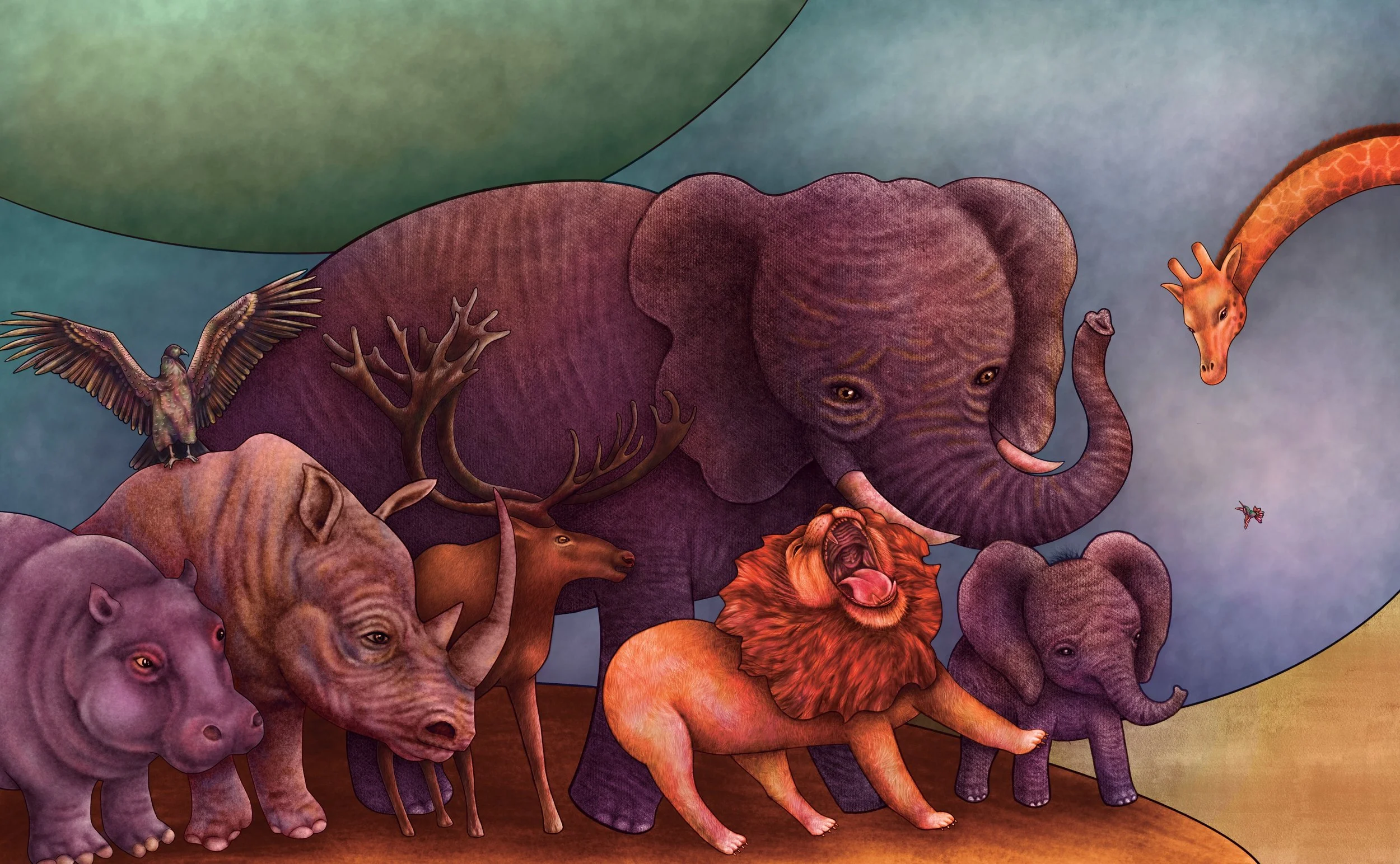 Hummingbird_22-23 (1).jpeg