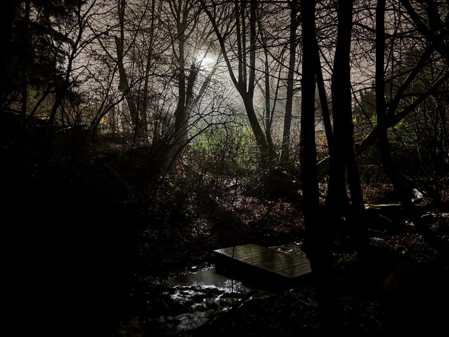 Sometimes I go down in the ravine at night just to hang out in the dark but I left the lights on in the house.