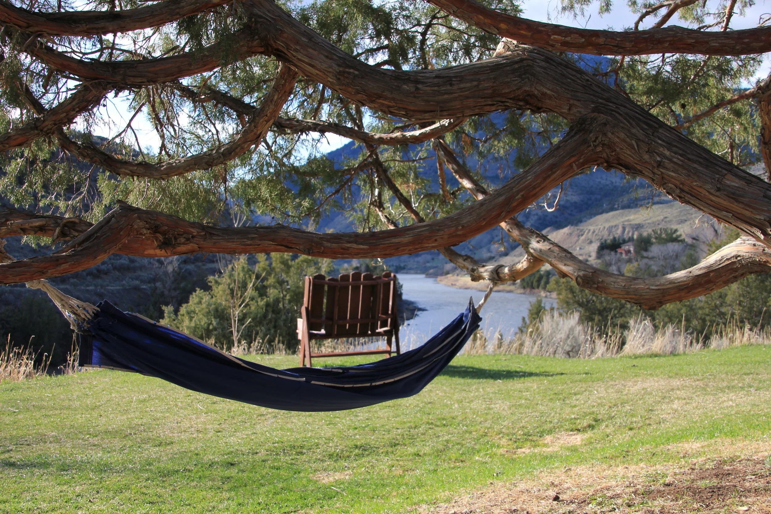 Hammock View from back deck