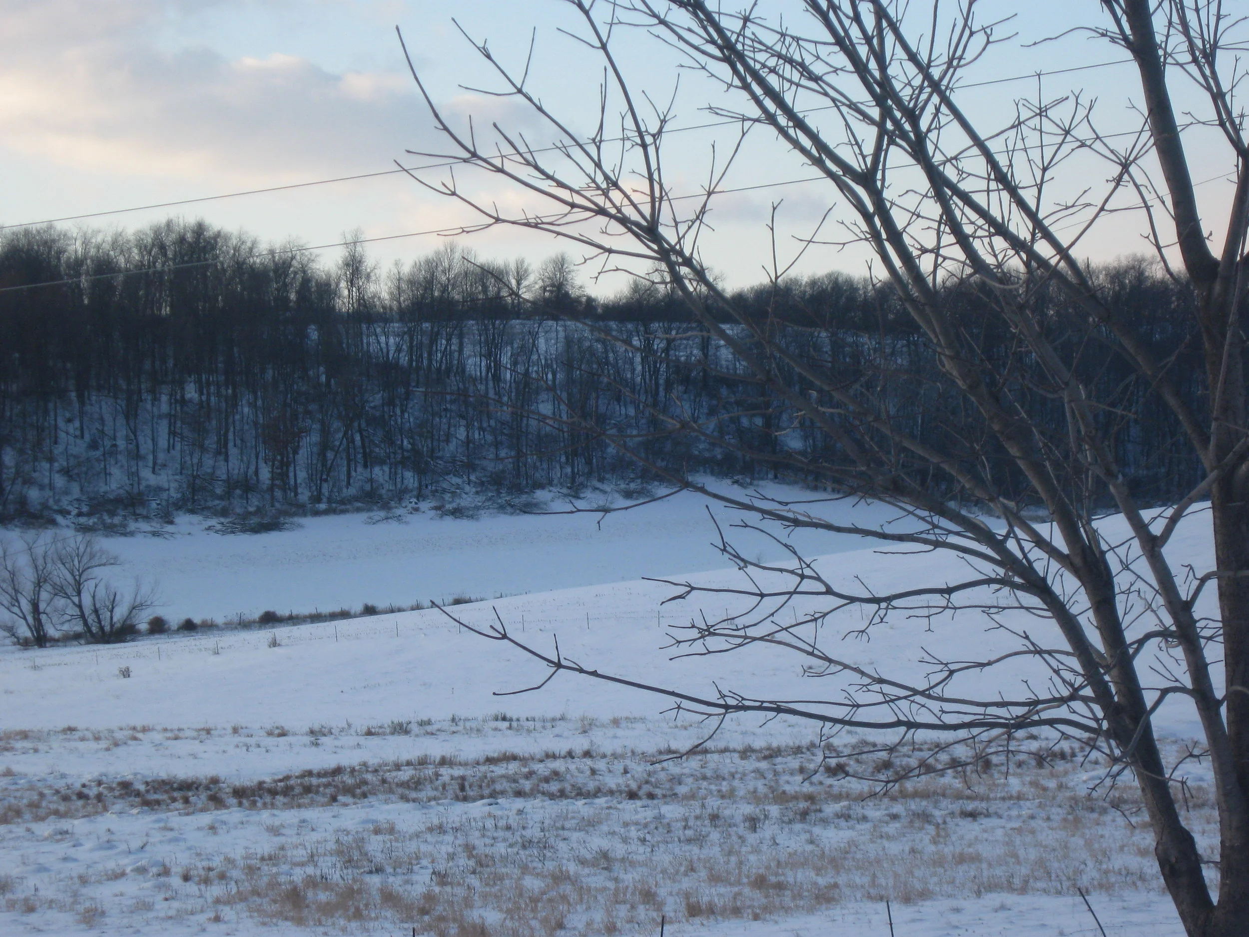 Snow "blankets" our fields protecting them from the bitter cold.