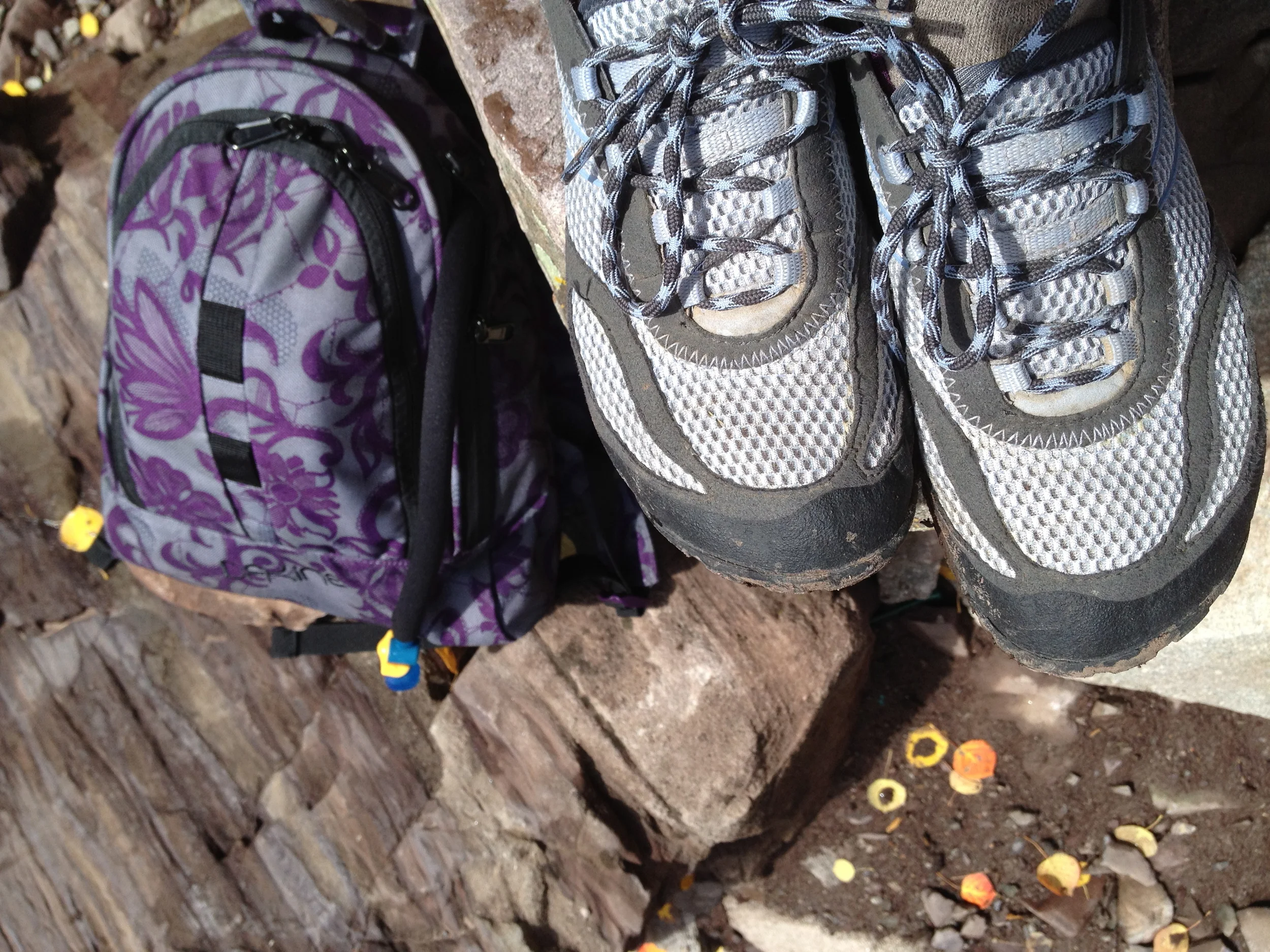 New Ideas about Plantar Fasciitis