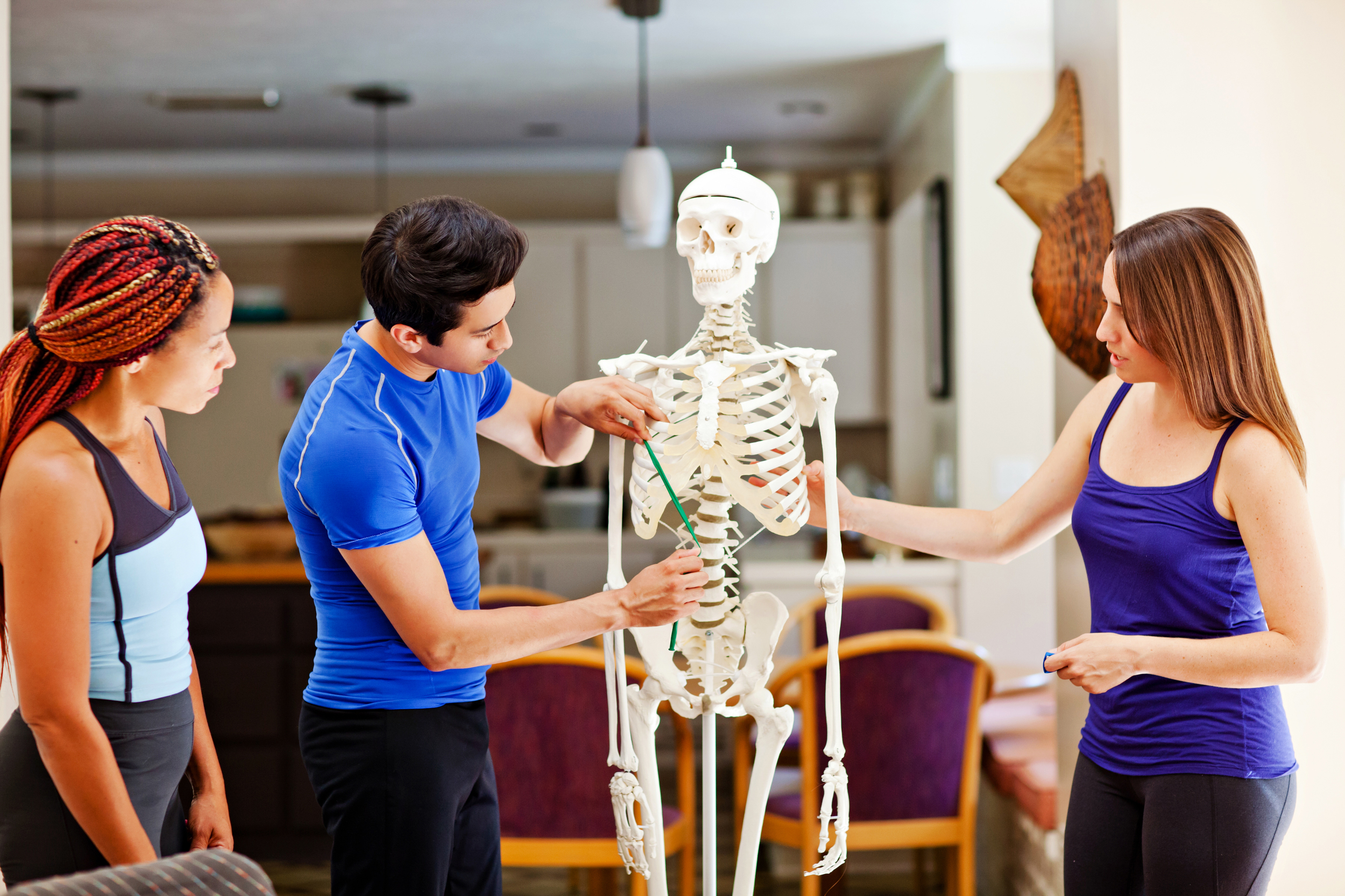  Pair muscles with movement in  Andy's Anatomy Program   Learn More  