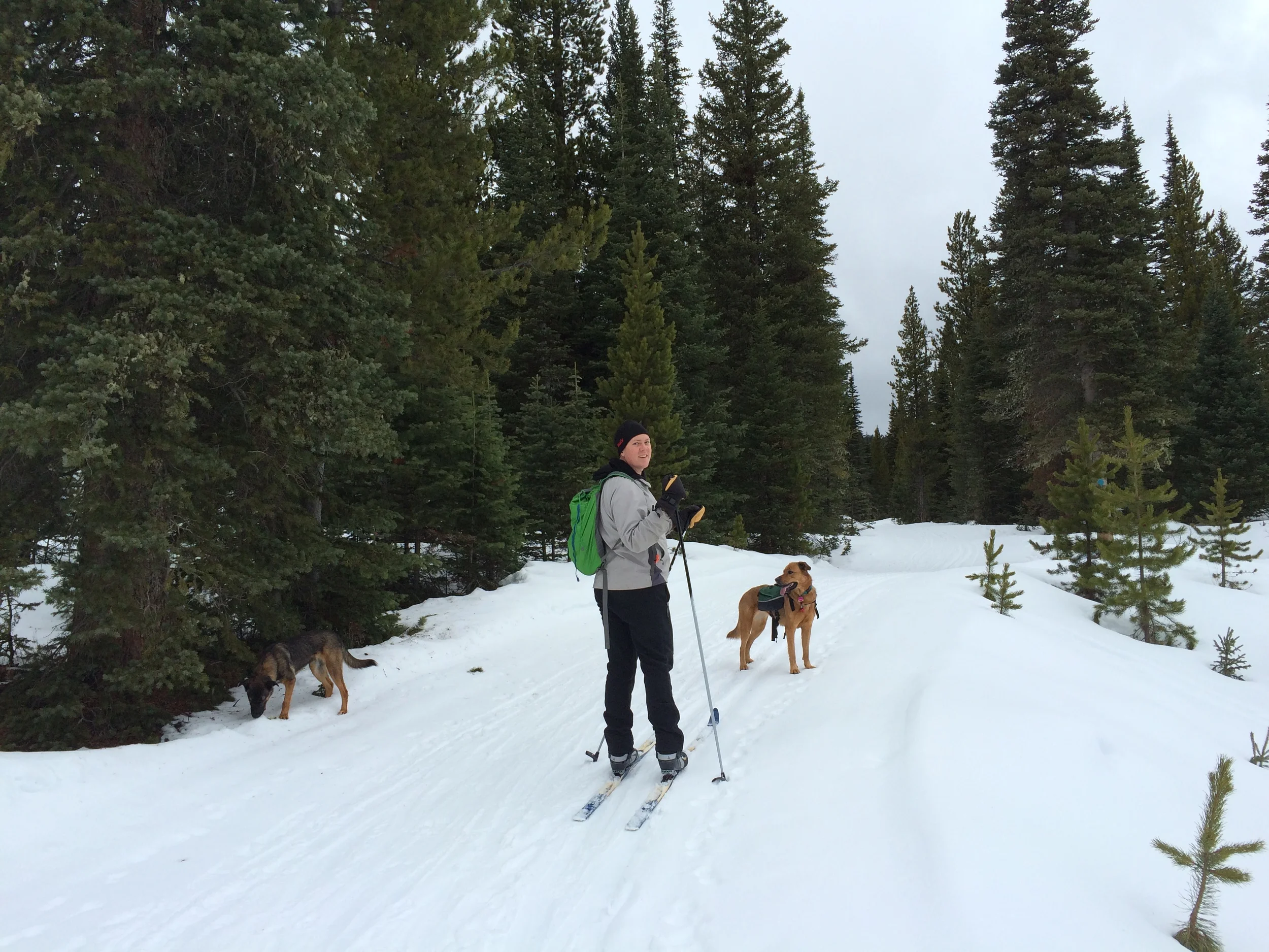 Are you storing fat or burning it?