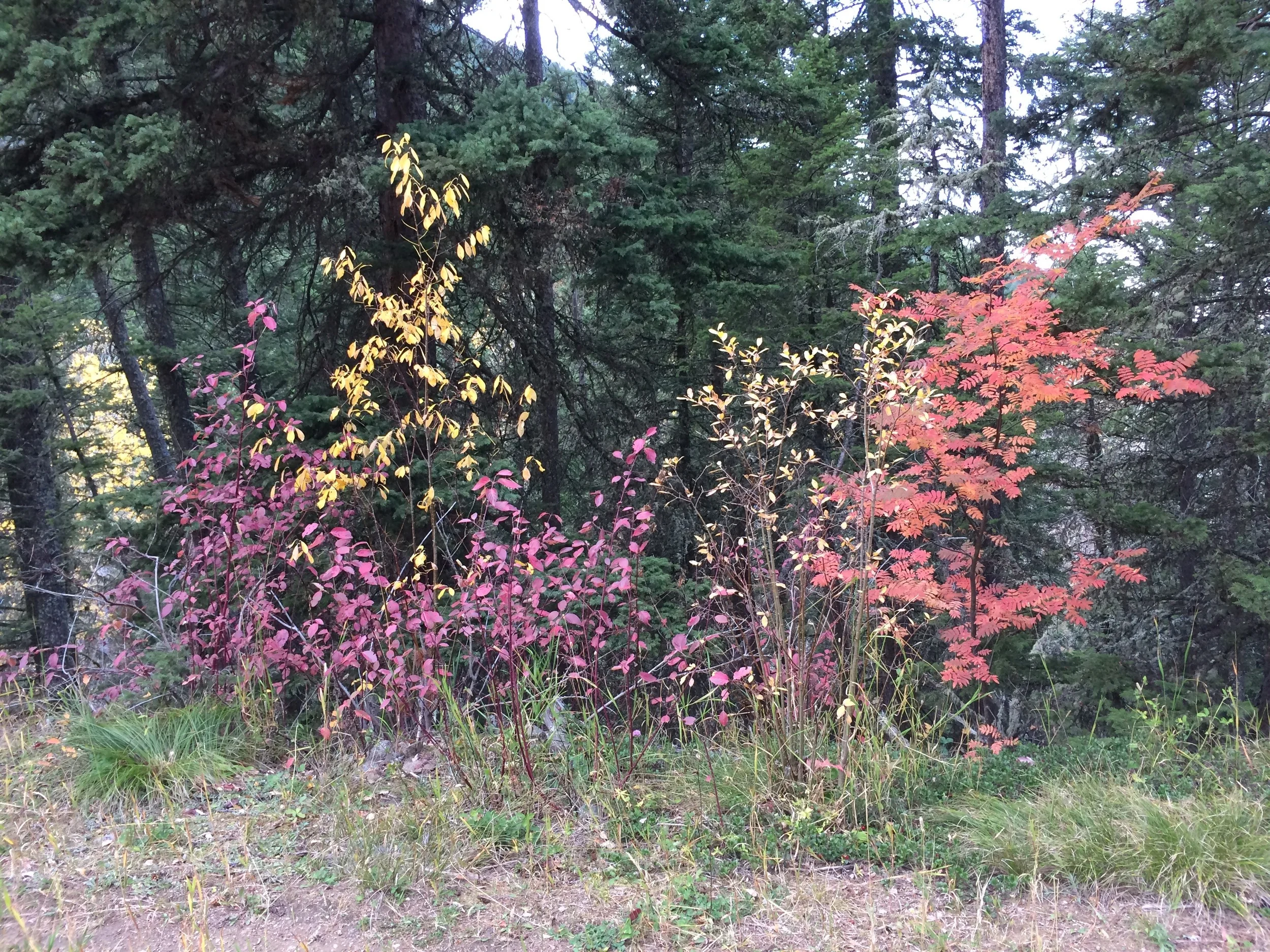 The Most Intimidating Word in Business