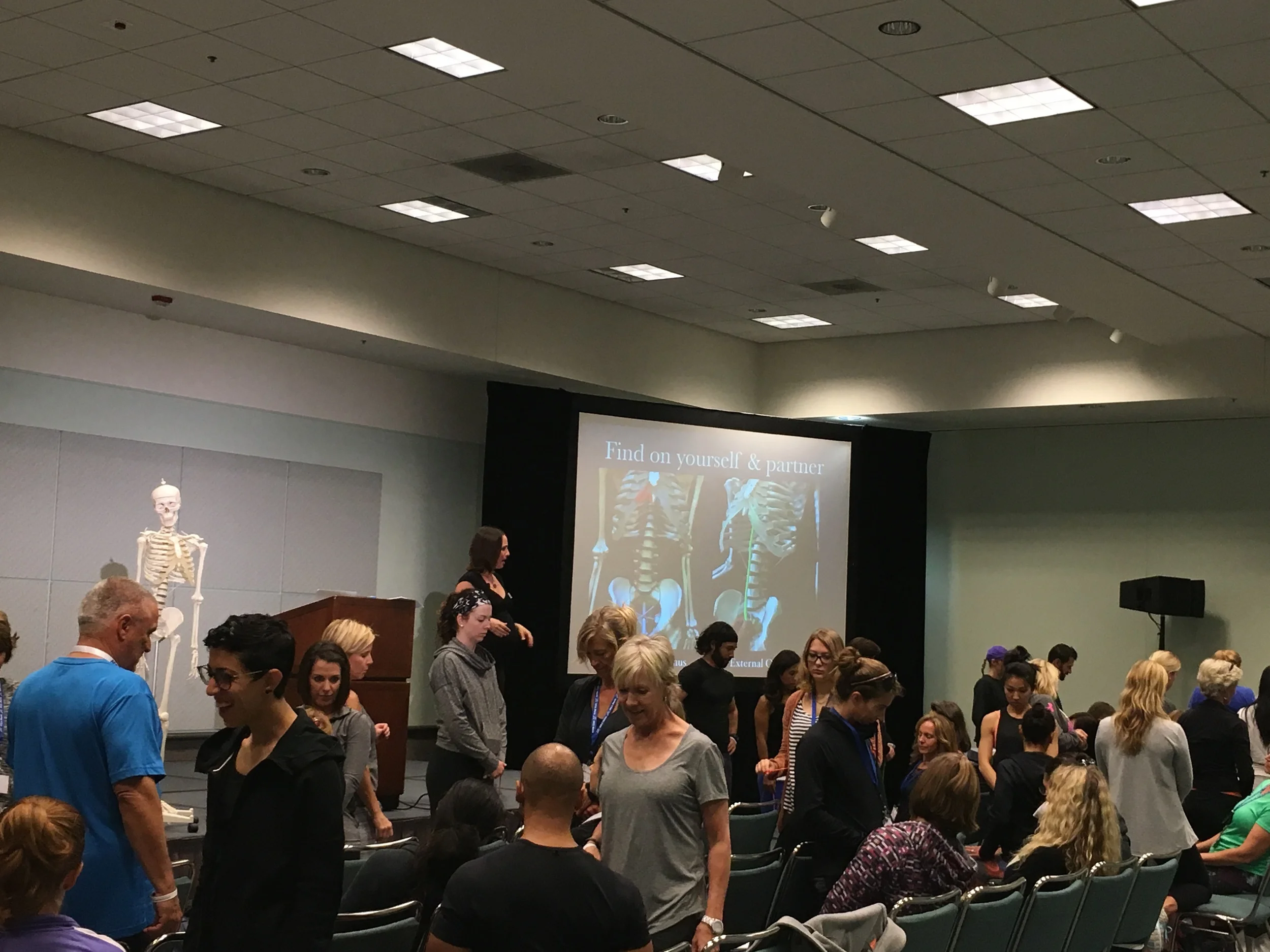 Reconnect with Your Spine Muscles session