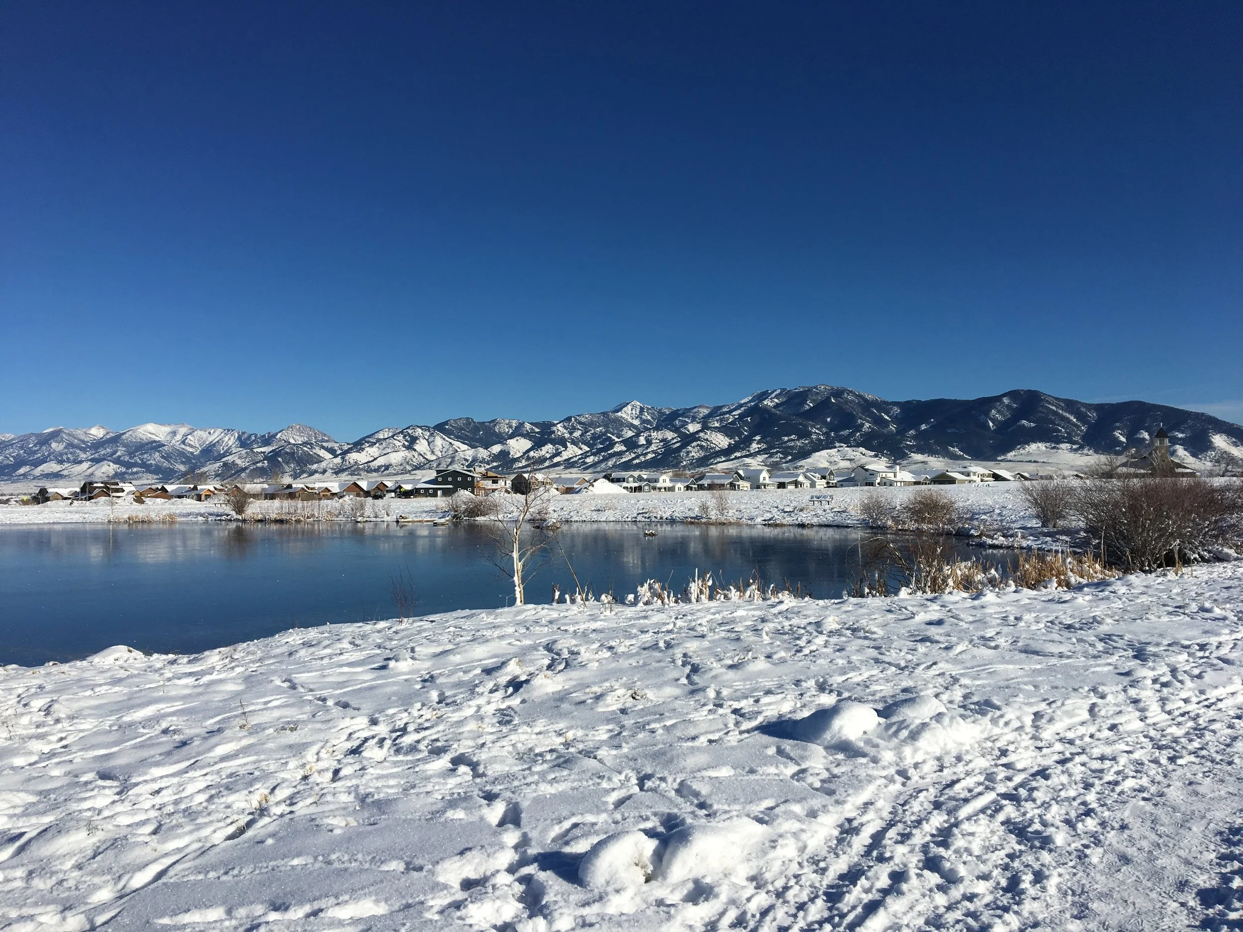 Shorter Days Are a Gift