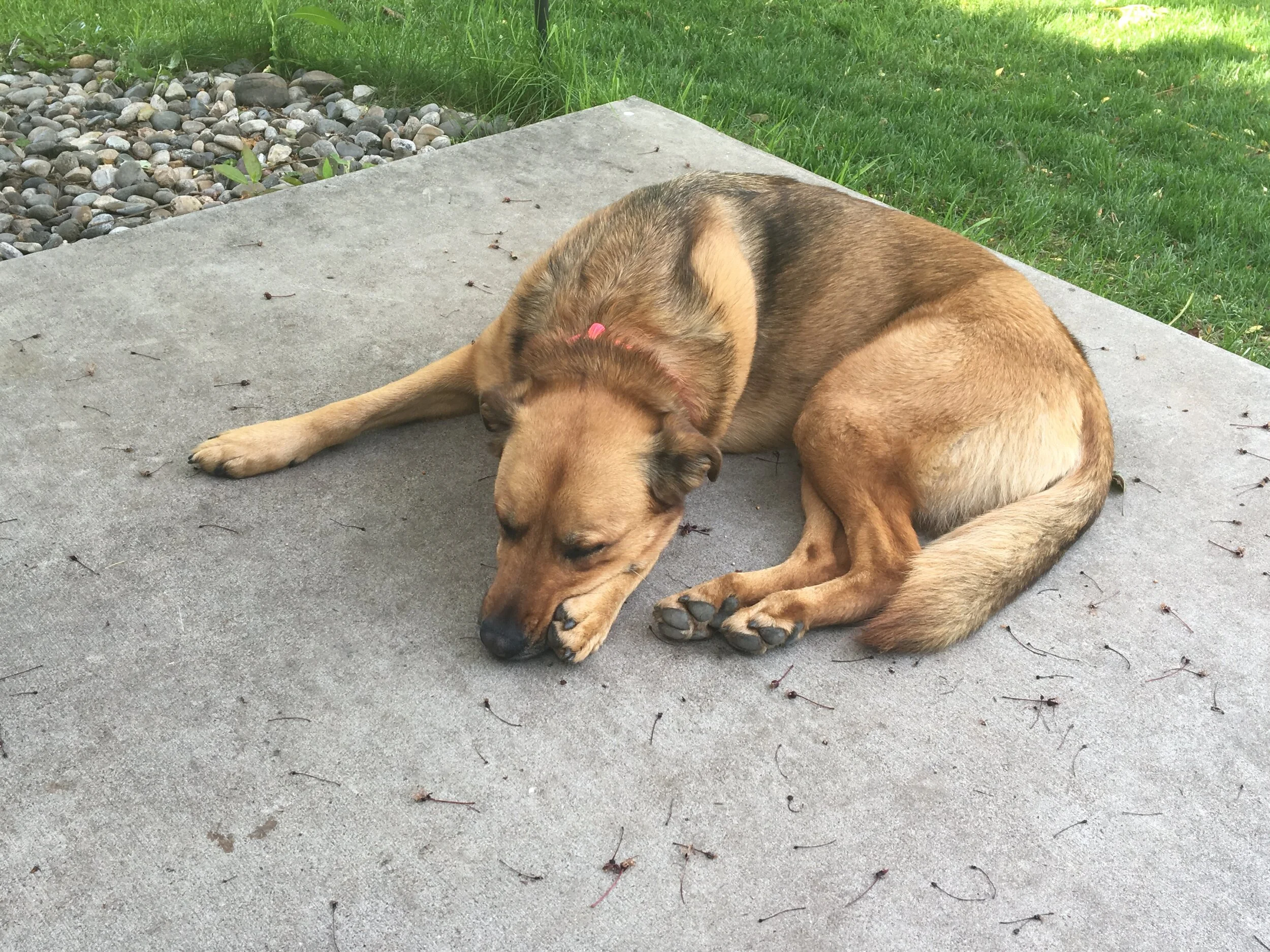 Five Things To Do Instead of Screens Before Bed