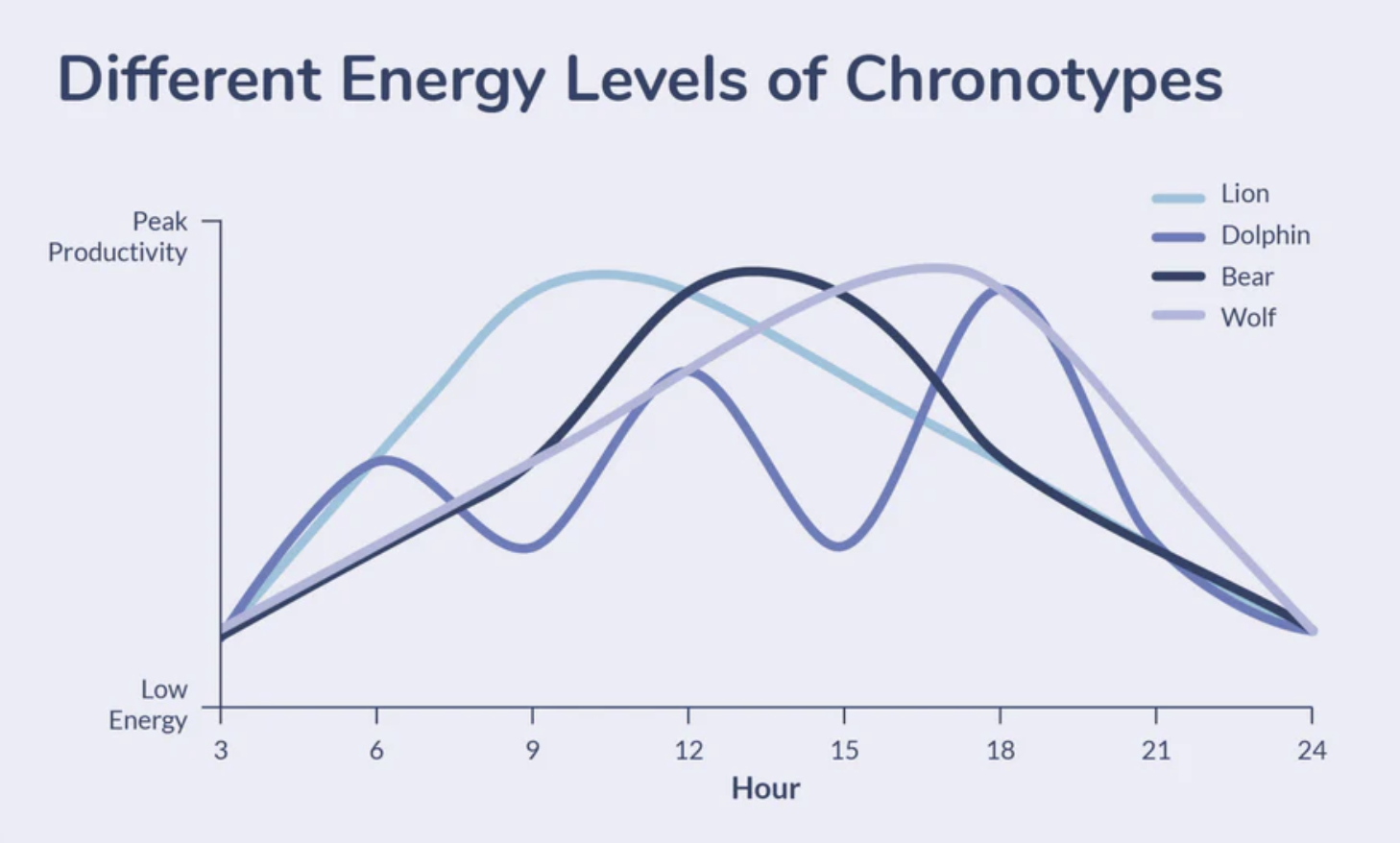 Syncing with Your Rhythm: What Are Chronotypes and How Do They Affect Your Energy?