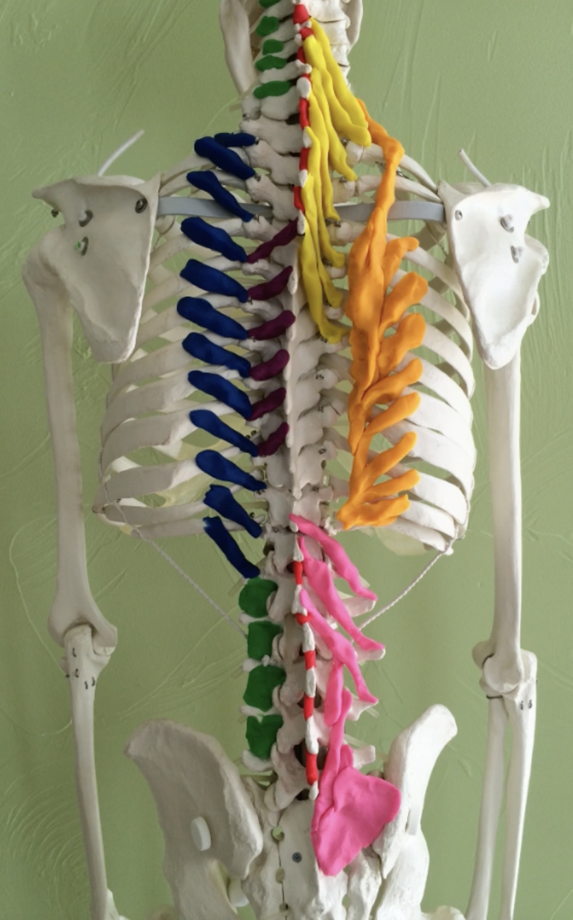 Screenshot 2025-10-30 at 10.39.15 AM.png