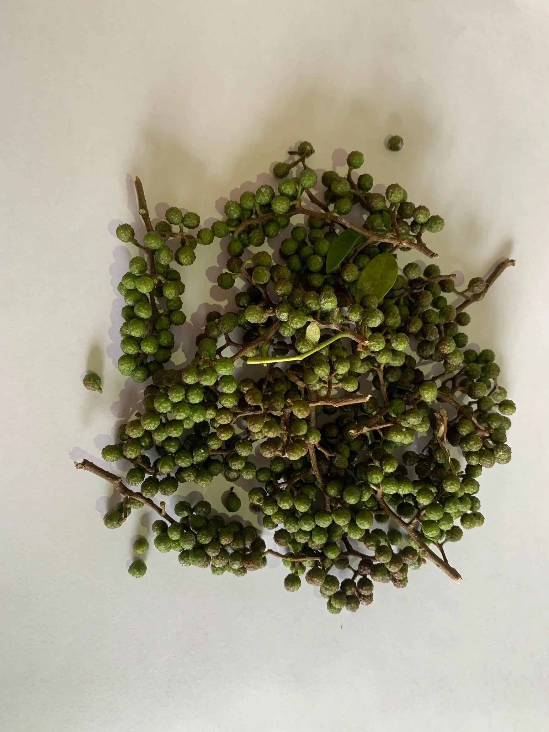 timur-berries-fresh.jpeg
