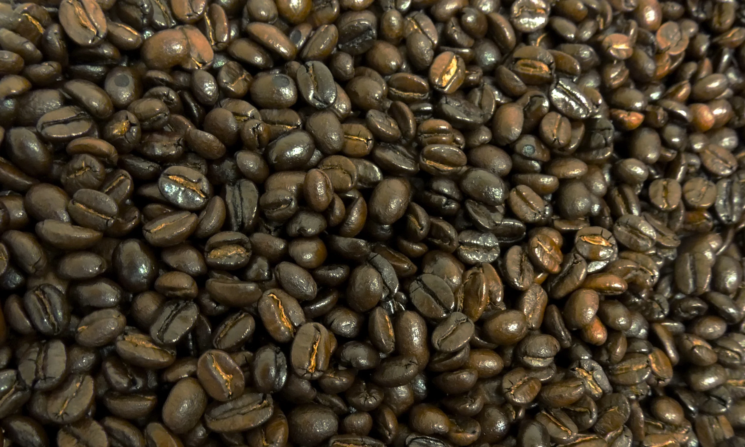 DSCN0769 - Version 2.JPG