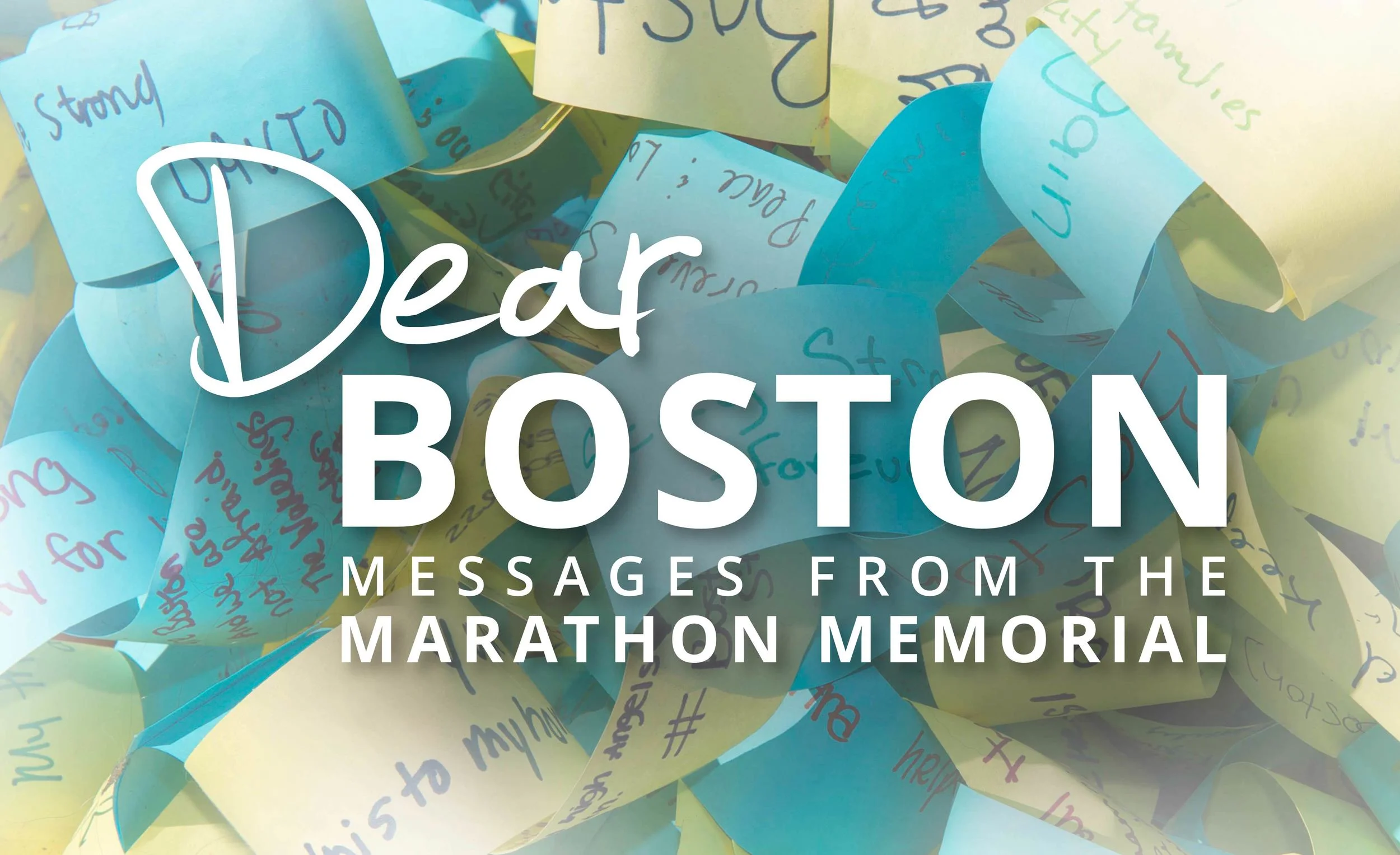 IfOnlyICouldPickUpOurBelovedBoston.jpg