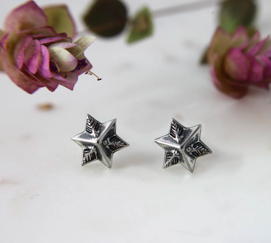 Astor + Orion Star Studs
