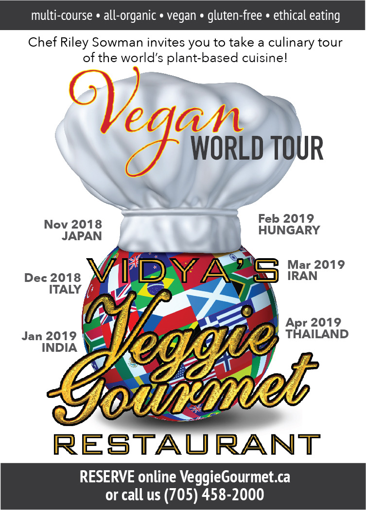 VEGAN WORLD TOUR poster.jpeg
