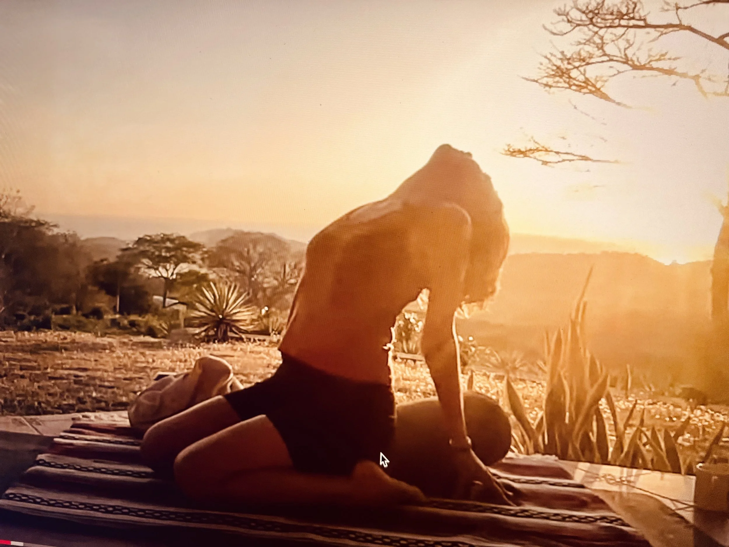 Alignment And Its Reflection In Our World