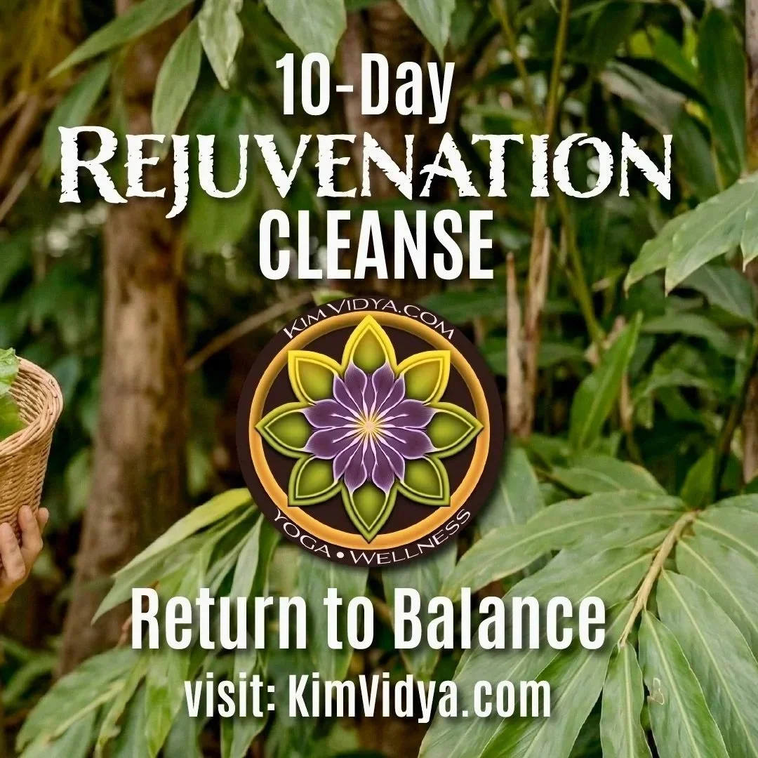 Kim%2BVidya%2BRejuvenation%2BCleanse%2Bv3.jpg