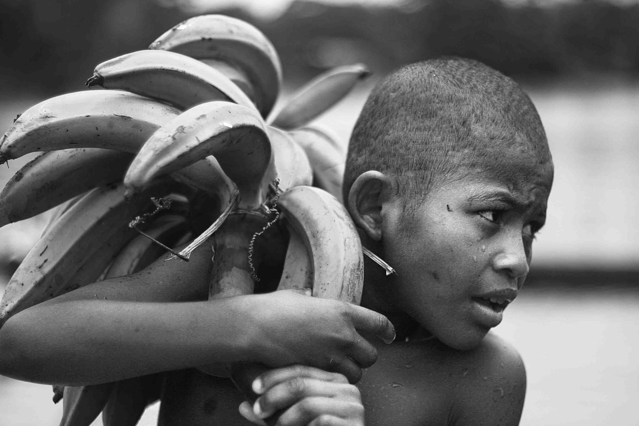  A child carries a branch of bananas back to his house. Limones, Ecuador. 2009. 