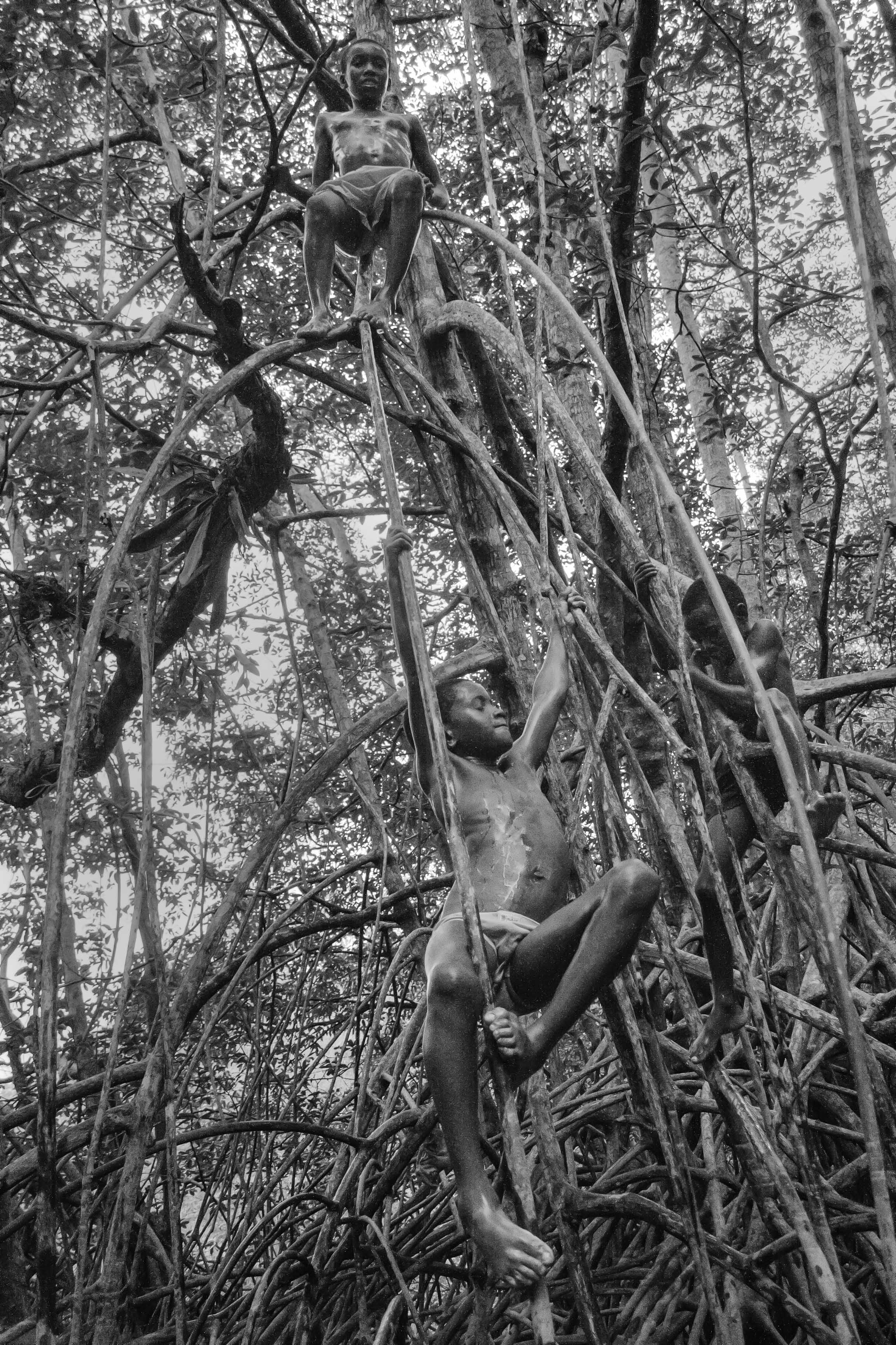  Children play on the roots of the mangroves in the Cayapas Mataje Reserve. Their movements are effortless as if the branches and roots were extensions of their bodies. 2010. 