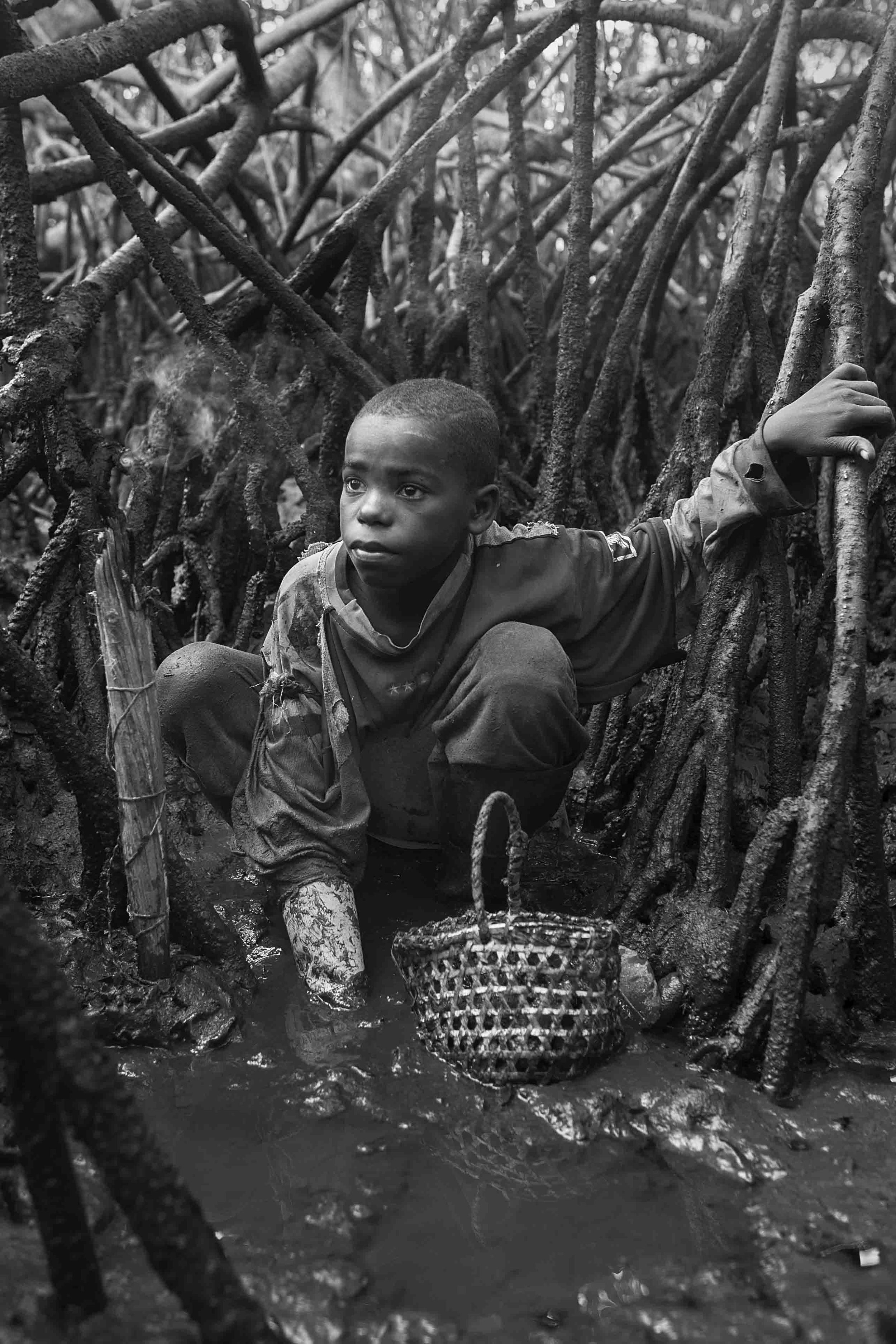  Haider Sanchez digs through the mud of the mangrove in search for black shells. He has 5 brothers and sisters, 2 of which pick shells to contribute to their family´s income. 