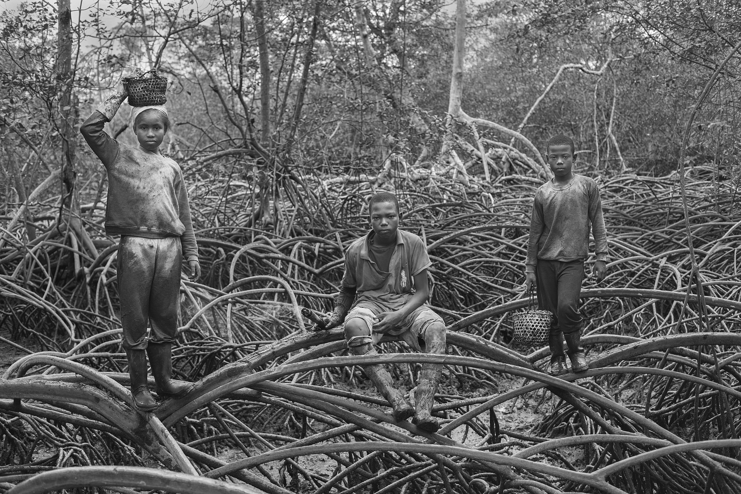  Children as young as 9 years old pick shells in the Cayapas Mataje Mangrove Reserve to contribute to their families´ economy. Although local authorities have made important improvements keeping kids in school, their performance usually takes a toll 