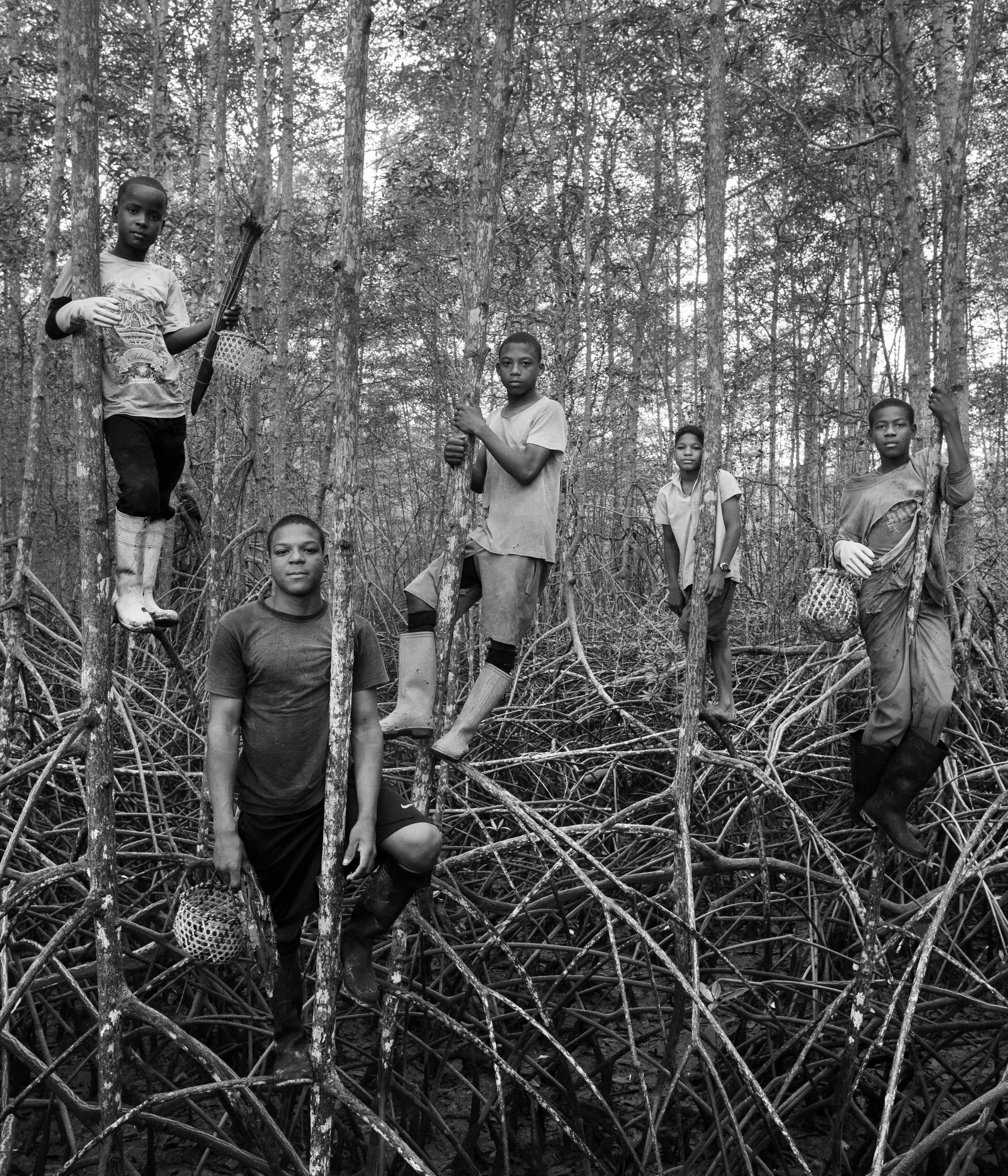  Children climb on the roots of the mangrove in the Cayapas Mataje Reserve. They are the tallest mangroves in the world. Ecuador, 2013. 