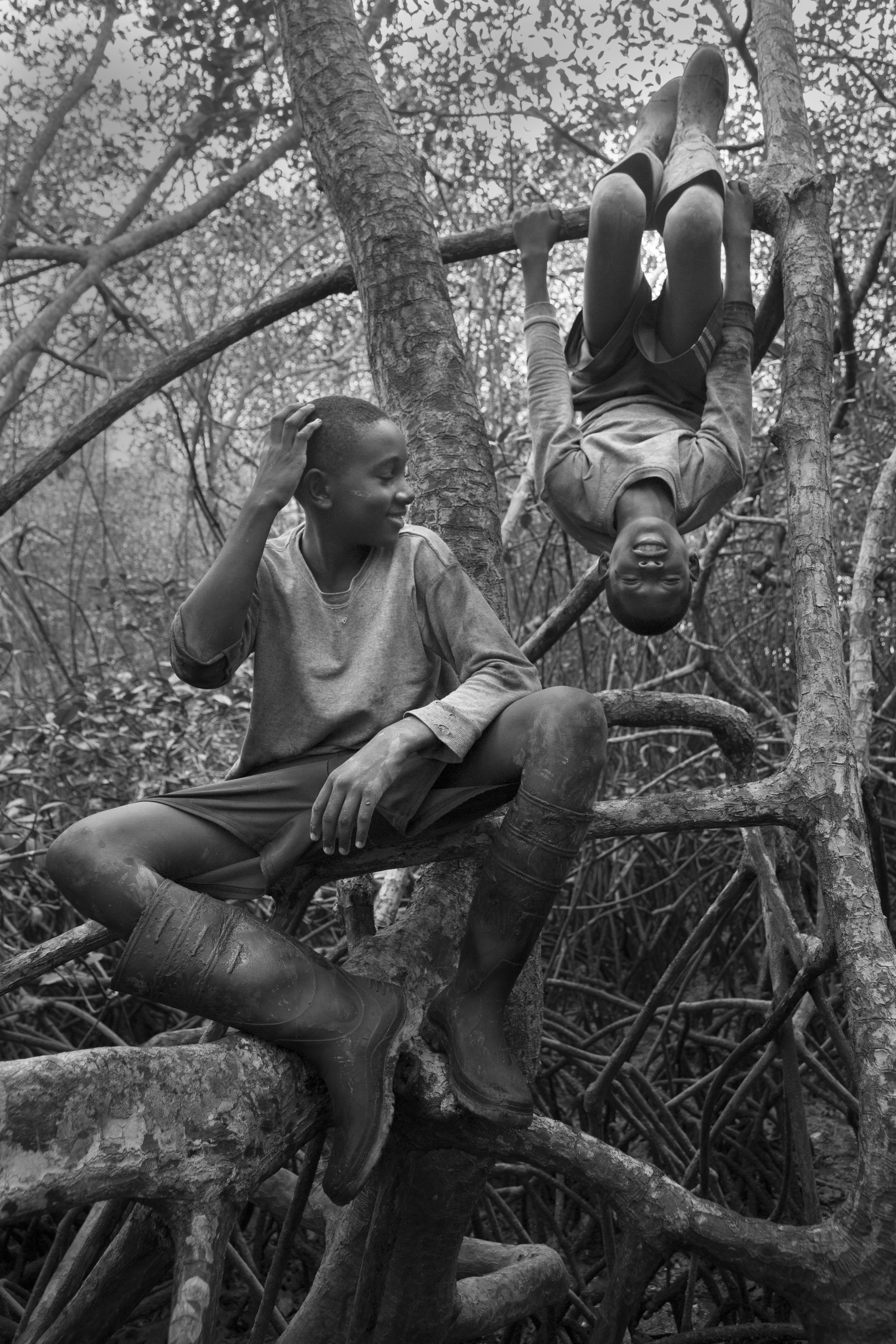  Cesar Castro and Olger Grueso goof around in the mangrove while taking a rest from picking shells. 2013. 