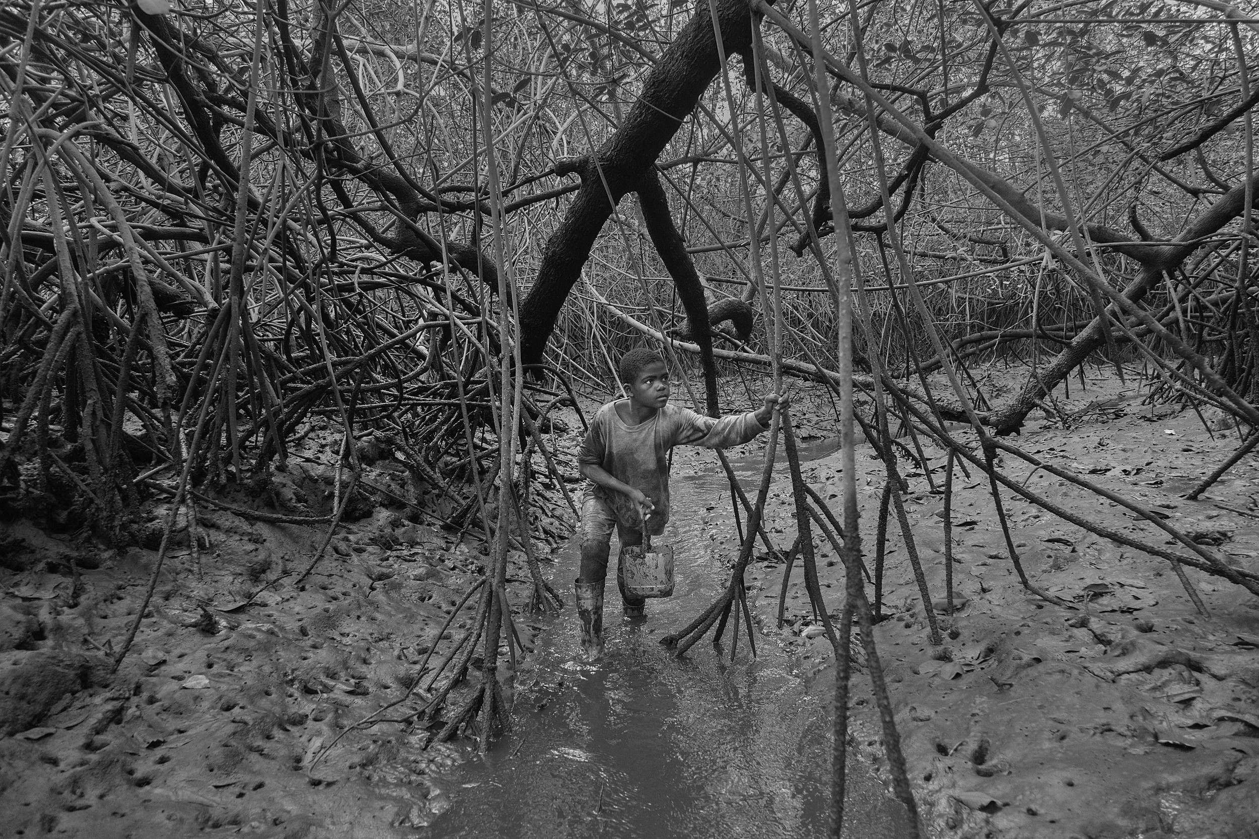  Alex Ocampo walks through a water inlet in the mangrove reserve. Shell pickers are used to work and walk waist deep in the mangrove. Most outsiders will invariably get stuck in the mud and have to get dragged out. 2014. 