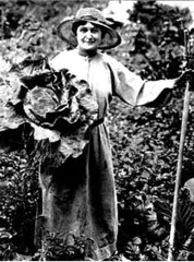 Mrs. Walter S. Brewster (Kate) represented the Garden Club of Illinois (renamed the Lake Forest Garden Club in 1921) at the 1913 Founding Meeting in Philadelphia. She served as GCA Vice-President from 1913 to 1916 and President of the Lake Forest Garden Club from 1922-1924.