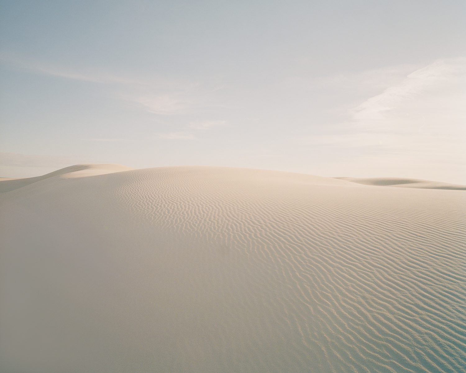  Dune #16, 2012 