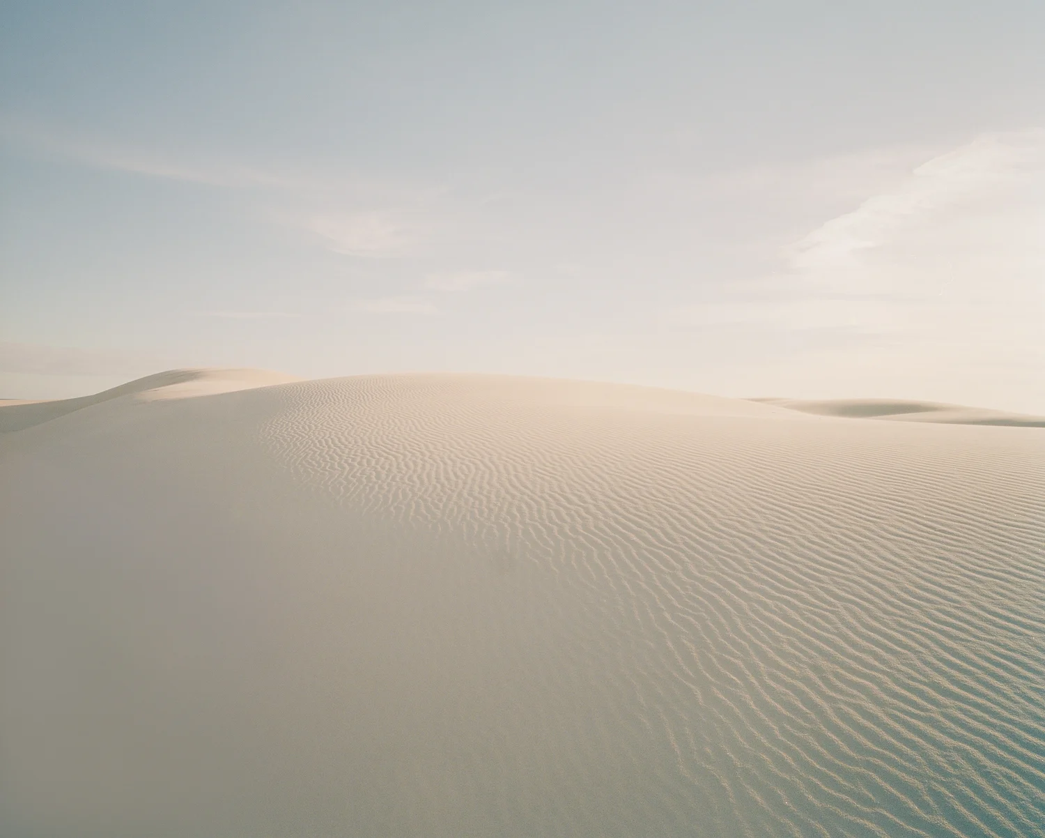 Dune #16, 2012