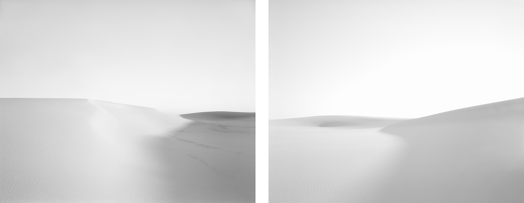  Dune #9, 2011 Diptych 