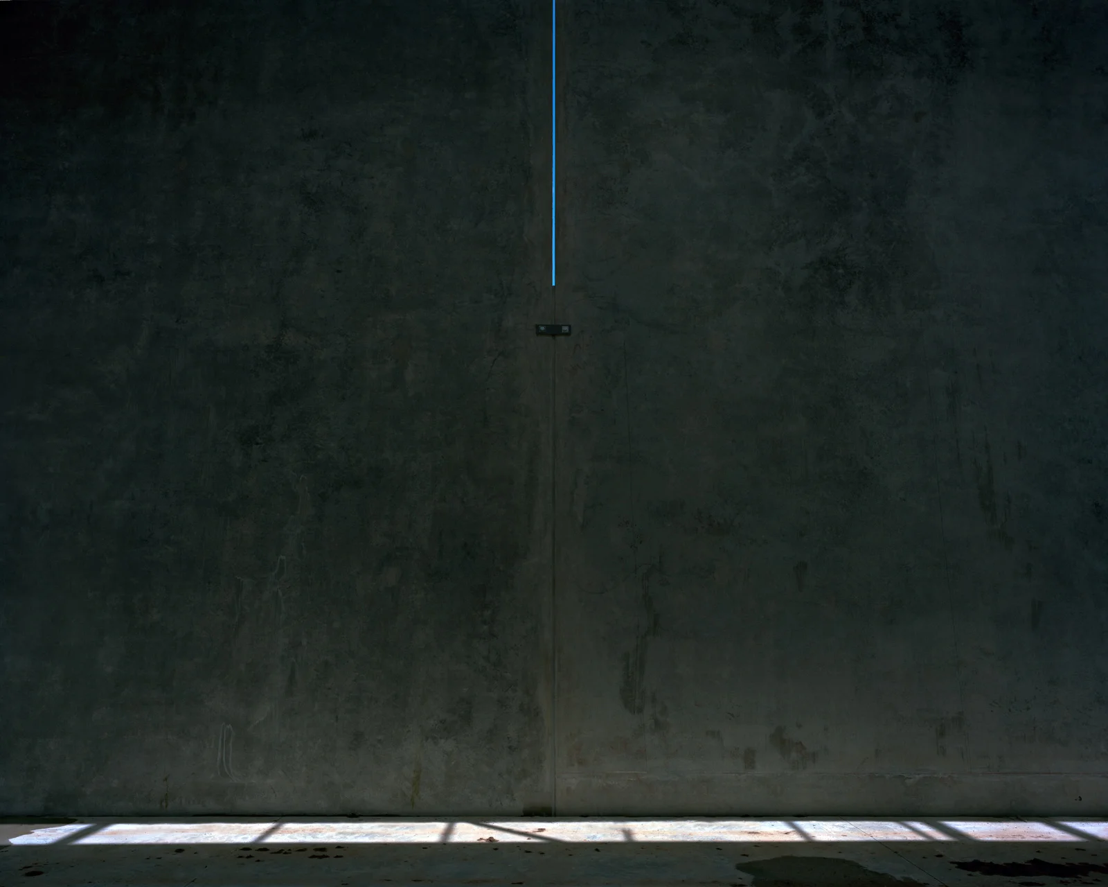 Xenith, 2010