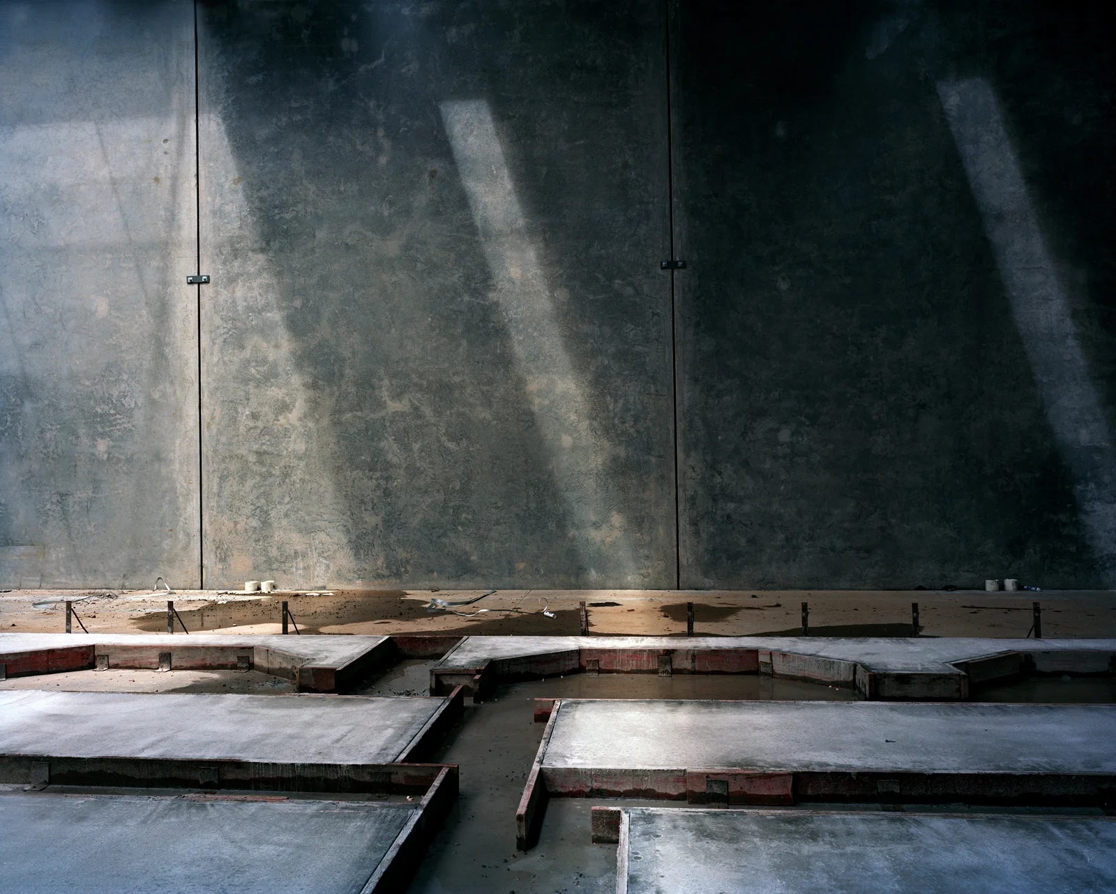 Vertebrae, 2010