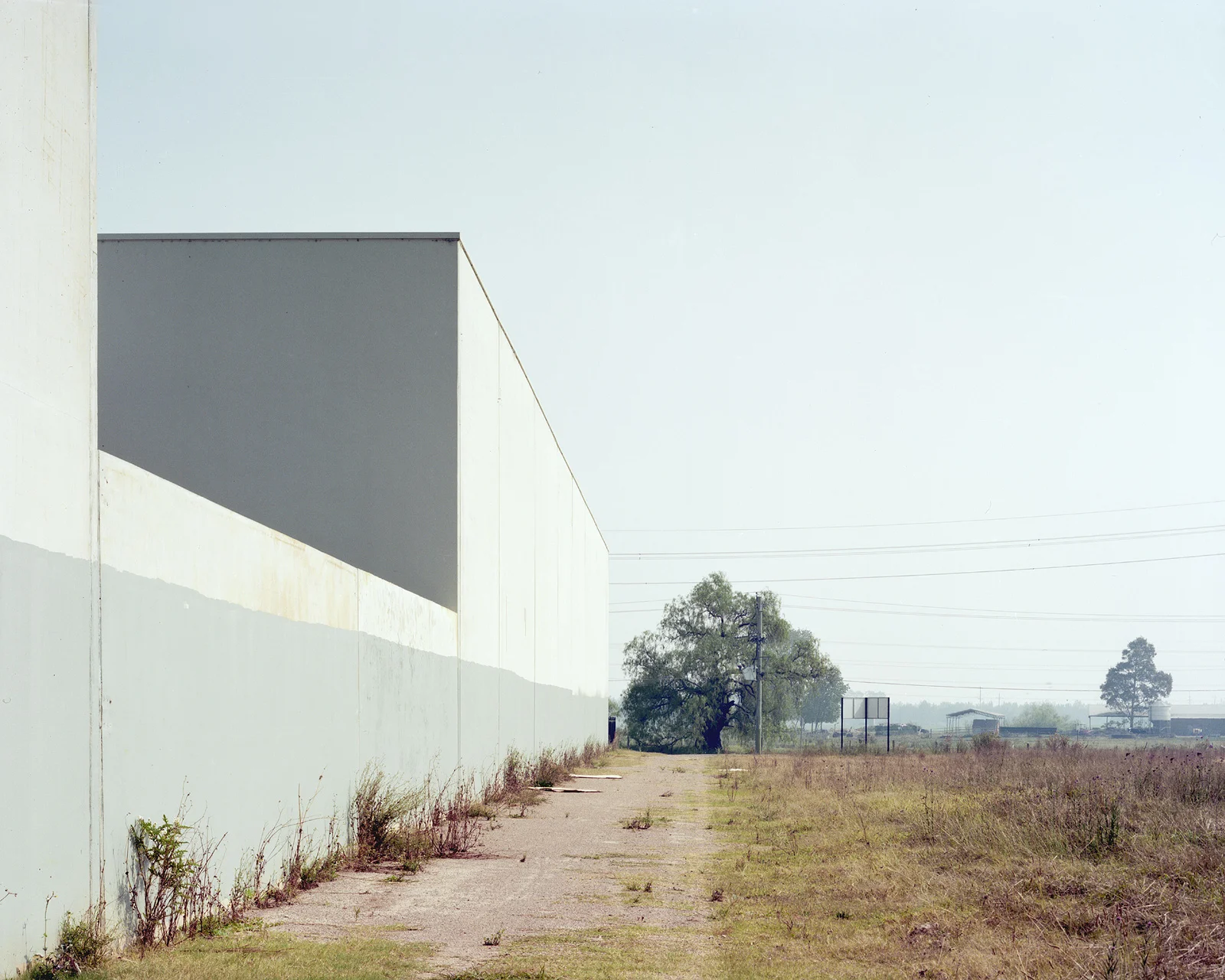 Untitled, 2013