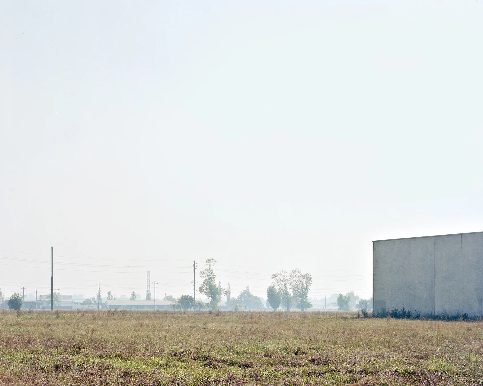 Monoculture, 2013