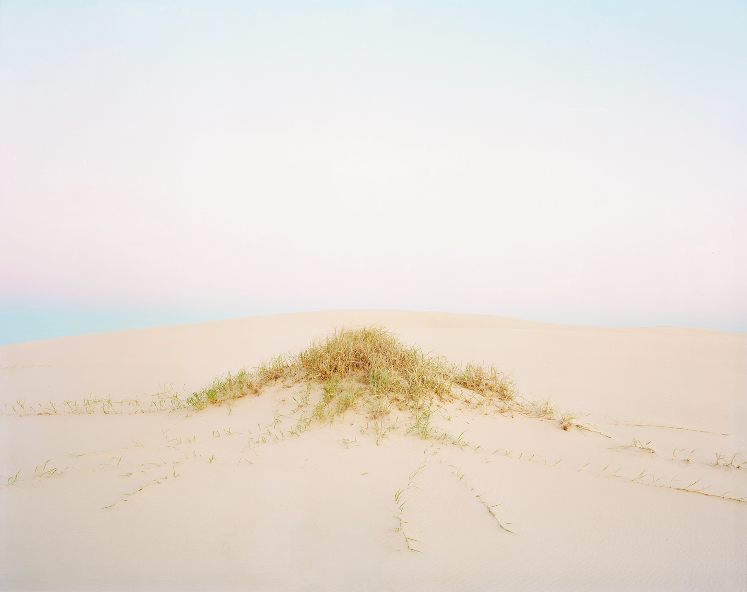  Dune #1, 2010 