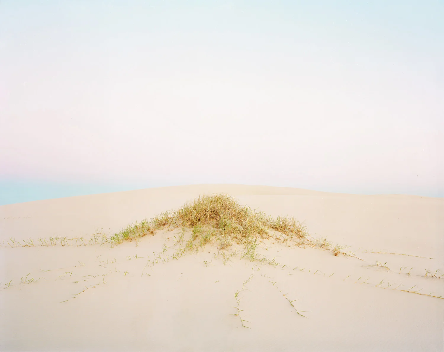 Dune #1, 2010