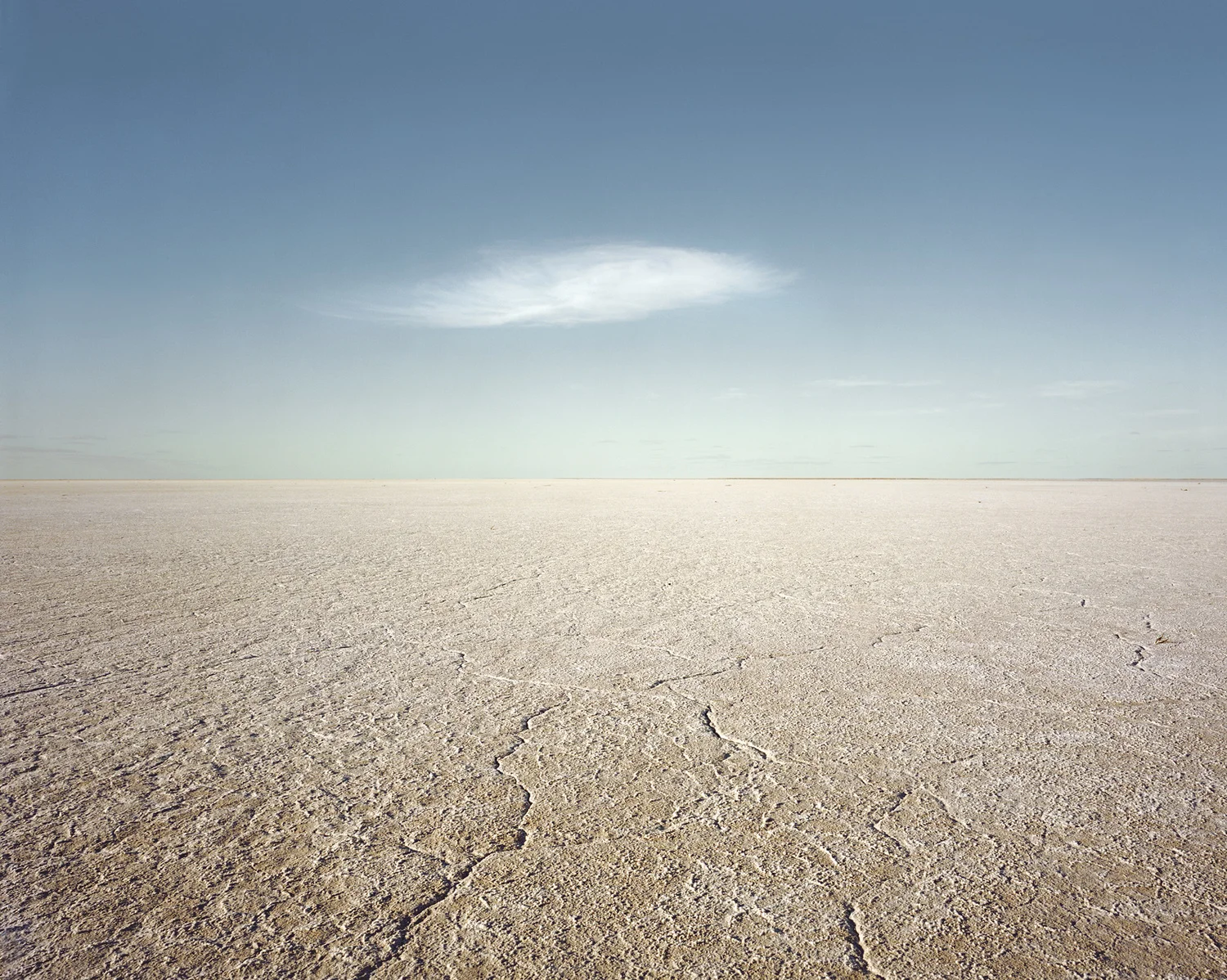 Cloud & Playa, 2007 Winner of Crocket Art Prize 2010