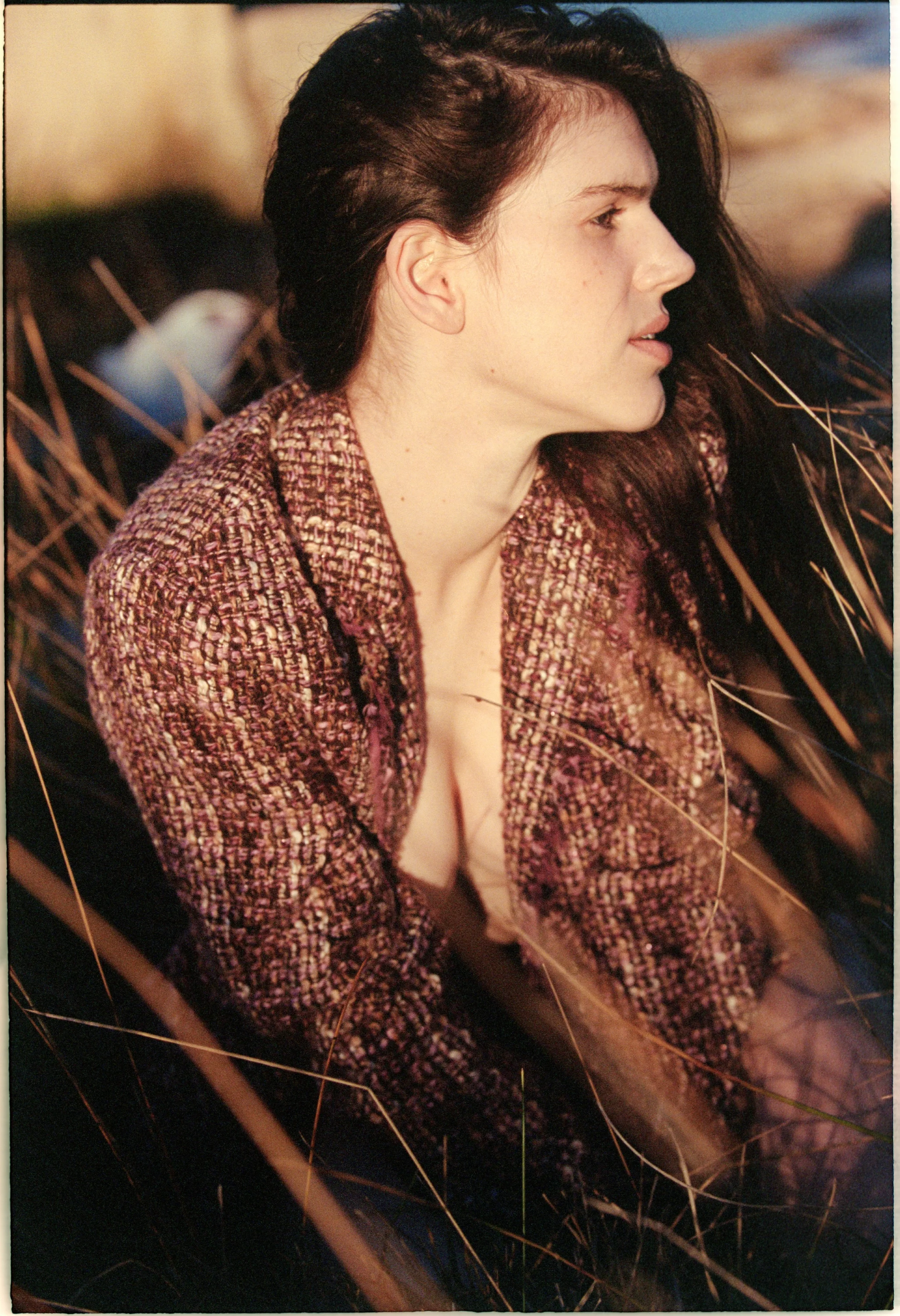 Andrea