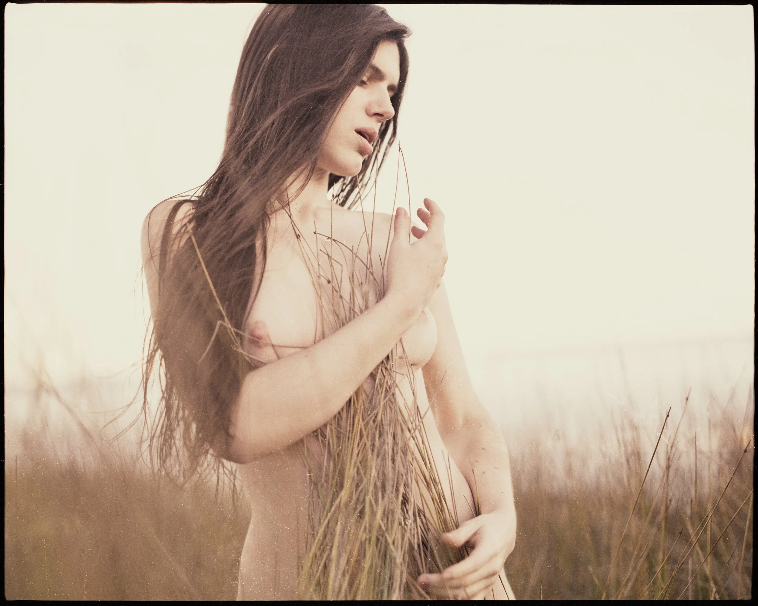 Andrea
