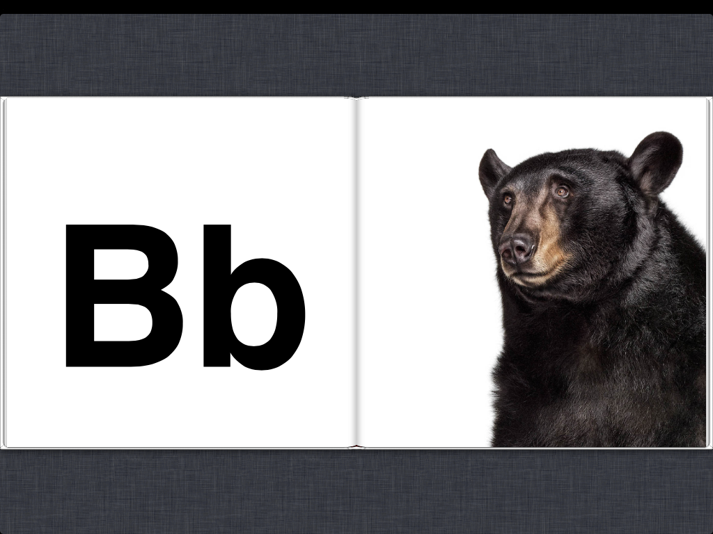 Creature ABC by Andrew Zuckerman