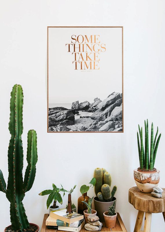 Image via Congo Studio