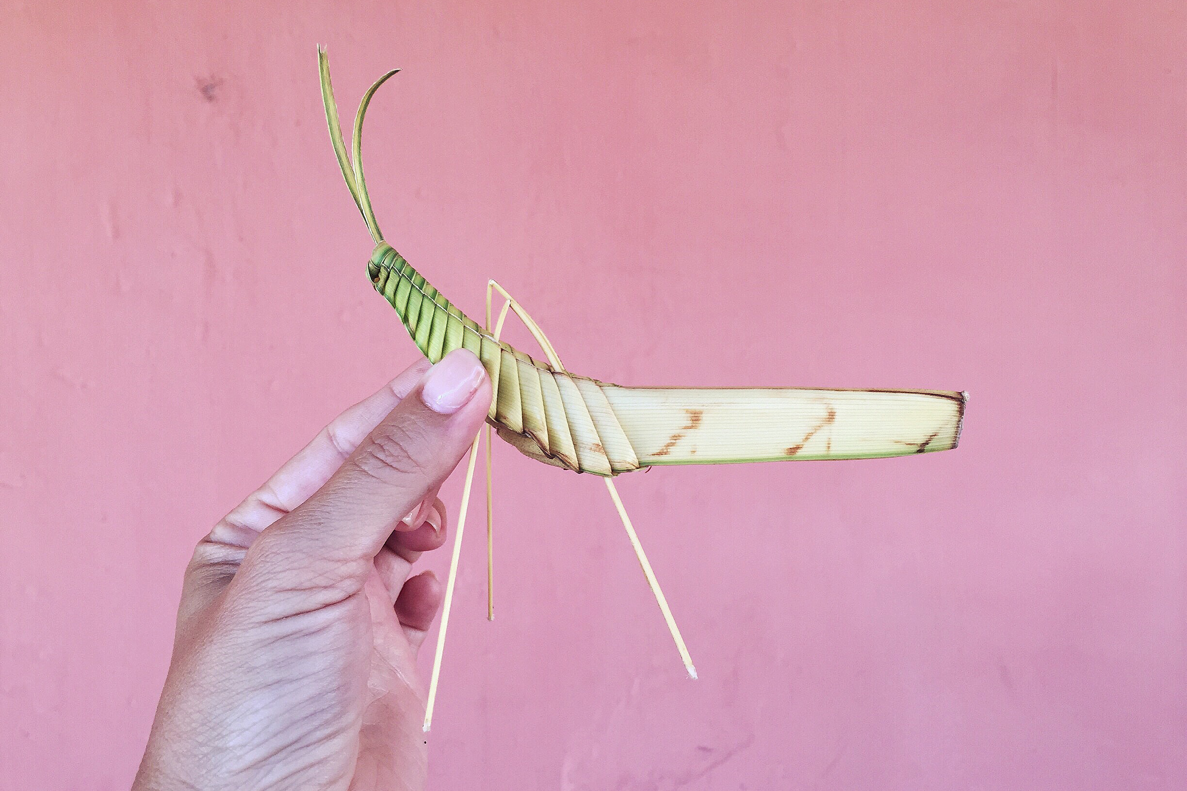 Grasshopper.png