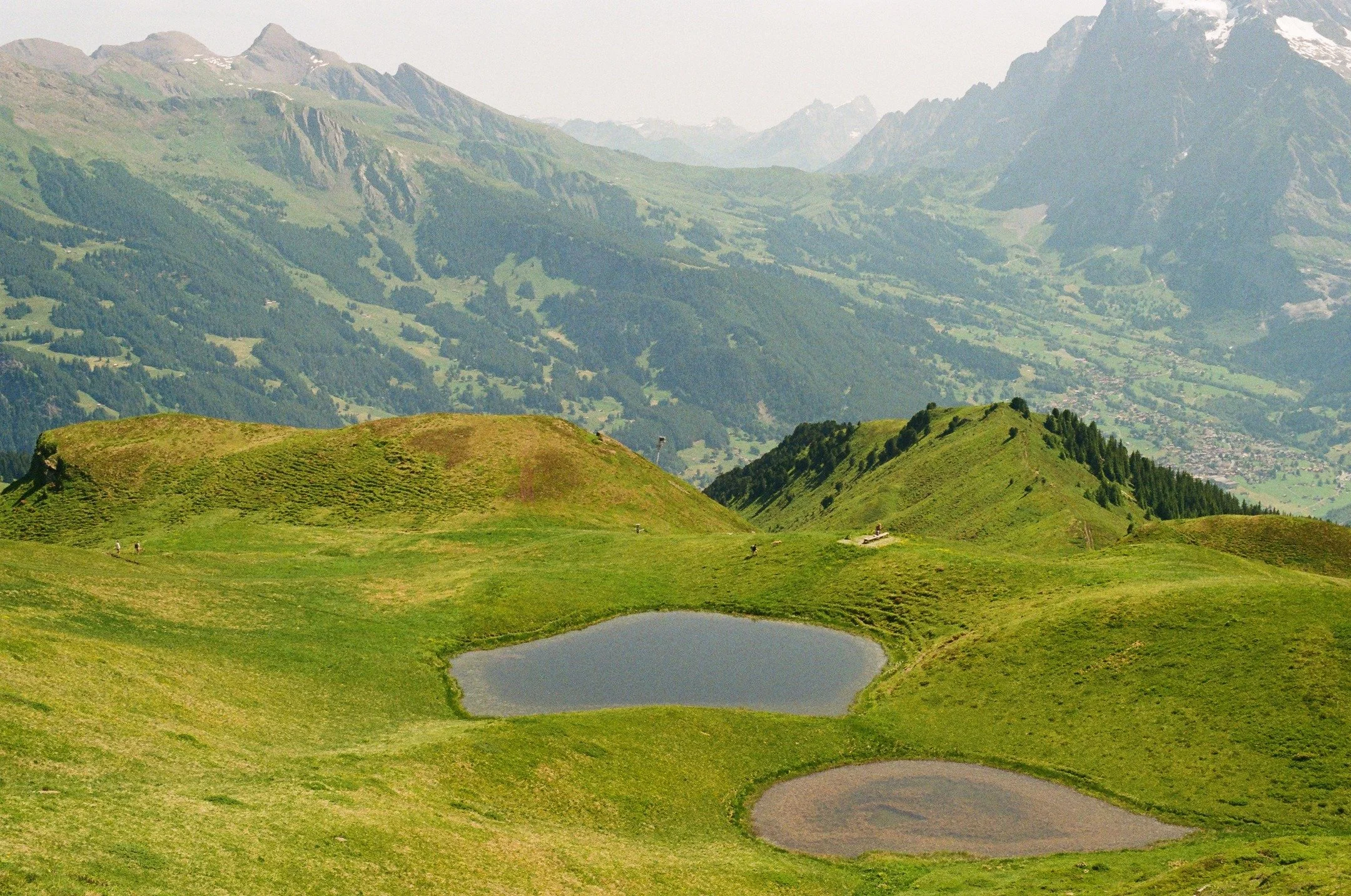 Six months later(my lazy fault) I finally got some film back from our summer vacation in Switzerland/Germany. Spoiler: it's basically mountains from several angles. Also posted a recap of the trip on my blog -- the CliffsNotes version for the reading